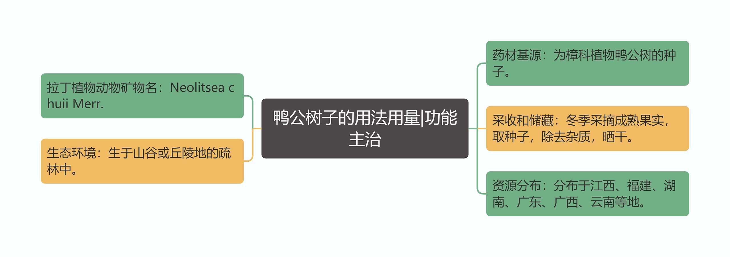 鸭公树子的用法用量|功能主治 鸭公树子的用法用量|功能主治