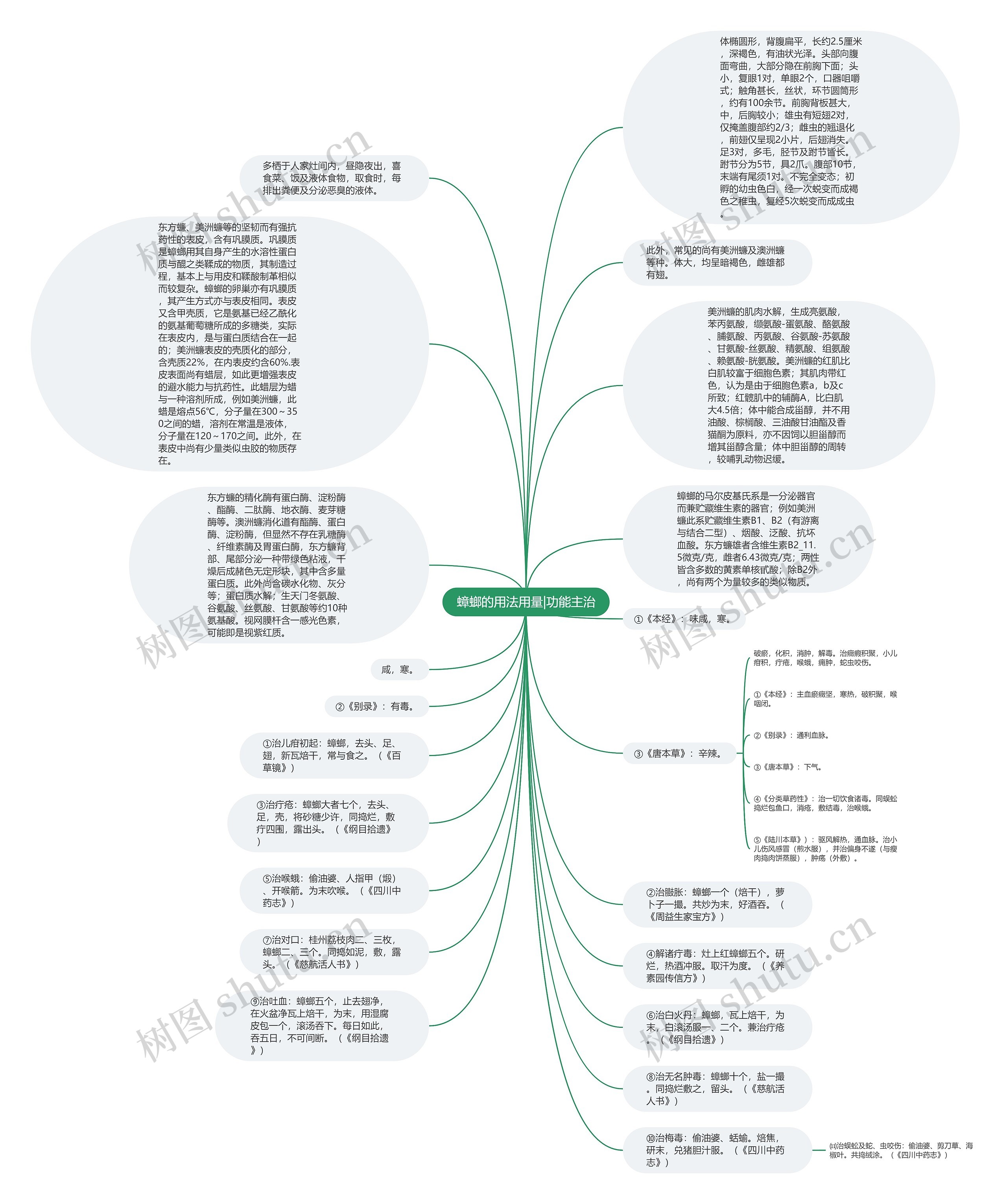 蟑螂的用法用量|功能主治思维导图