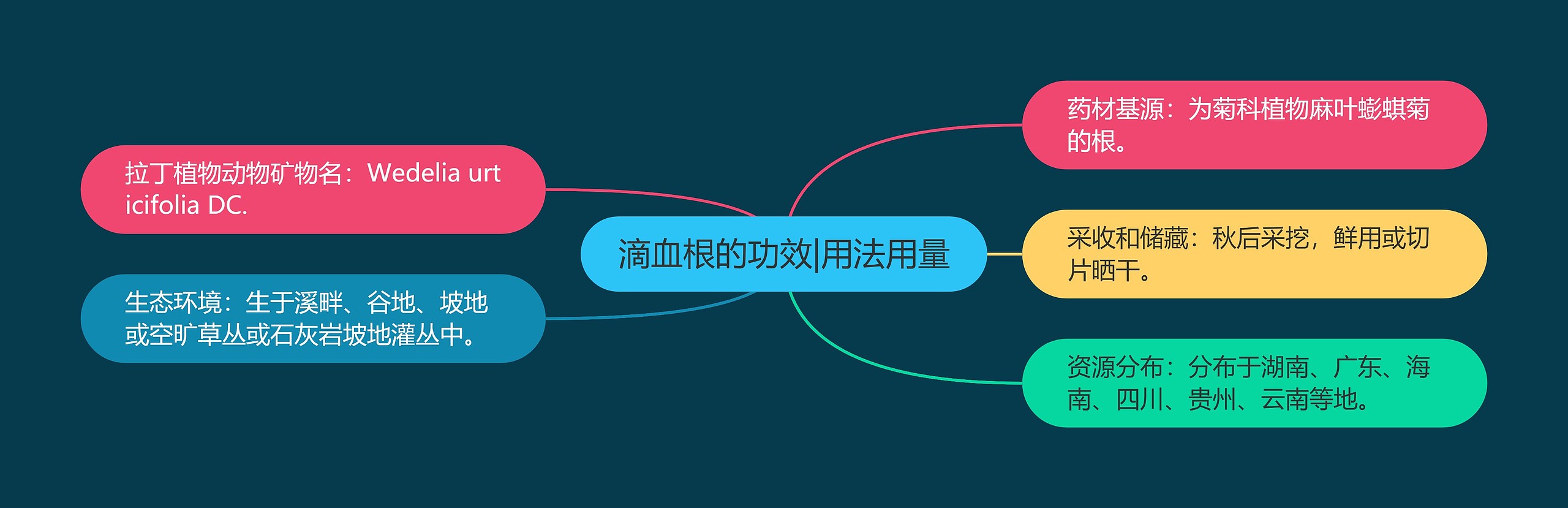 滴血根的功效|用法用量 滴血根的功效|用法用量
