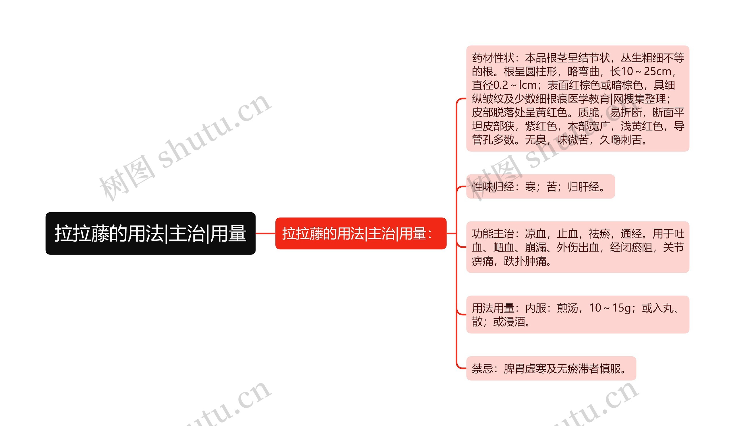 拉拉藤的用法|主治|用量思维导图