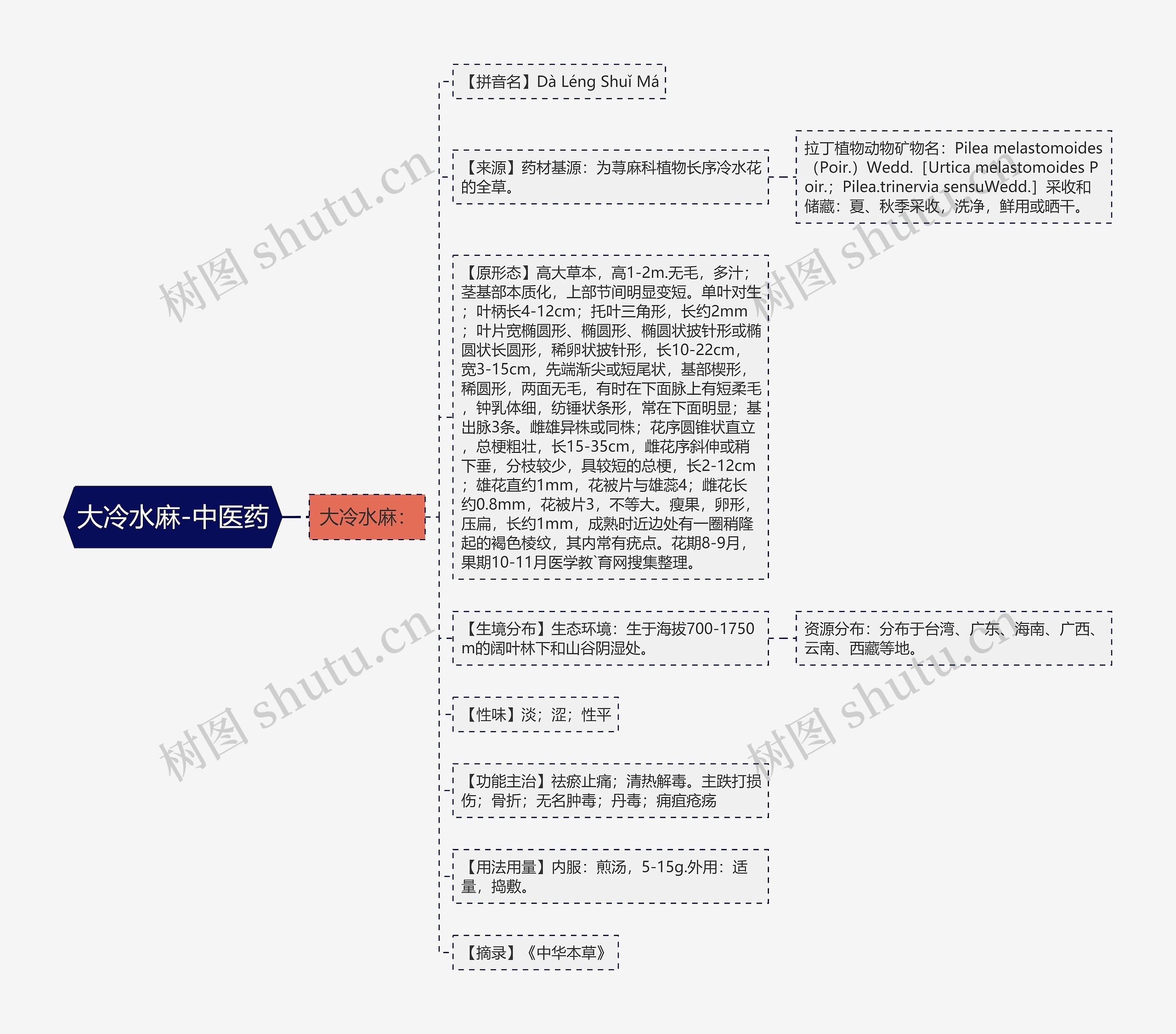 大冷水麻-中医药思维导图
