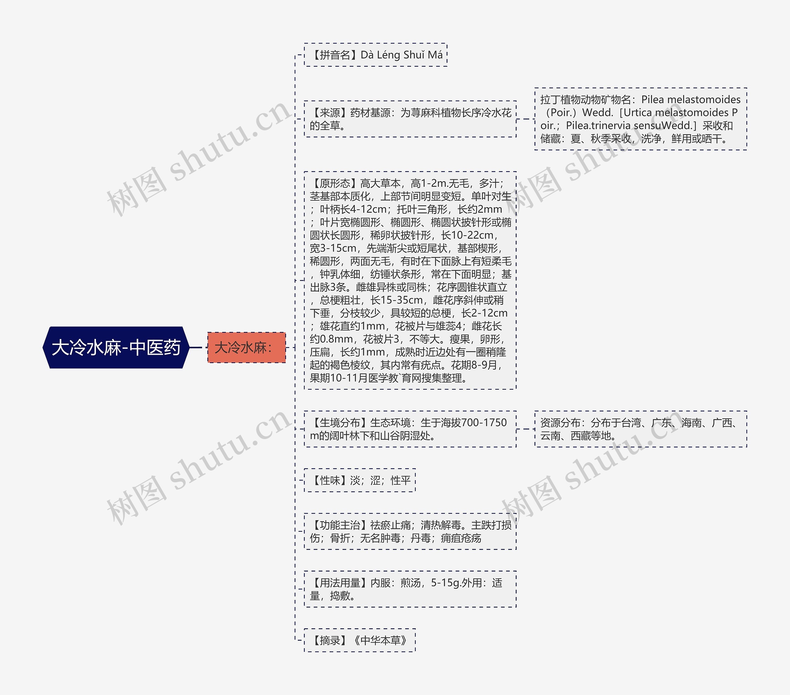 大冷水麻-中医药 大冷水麻-中医药