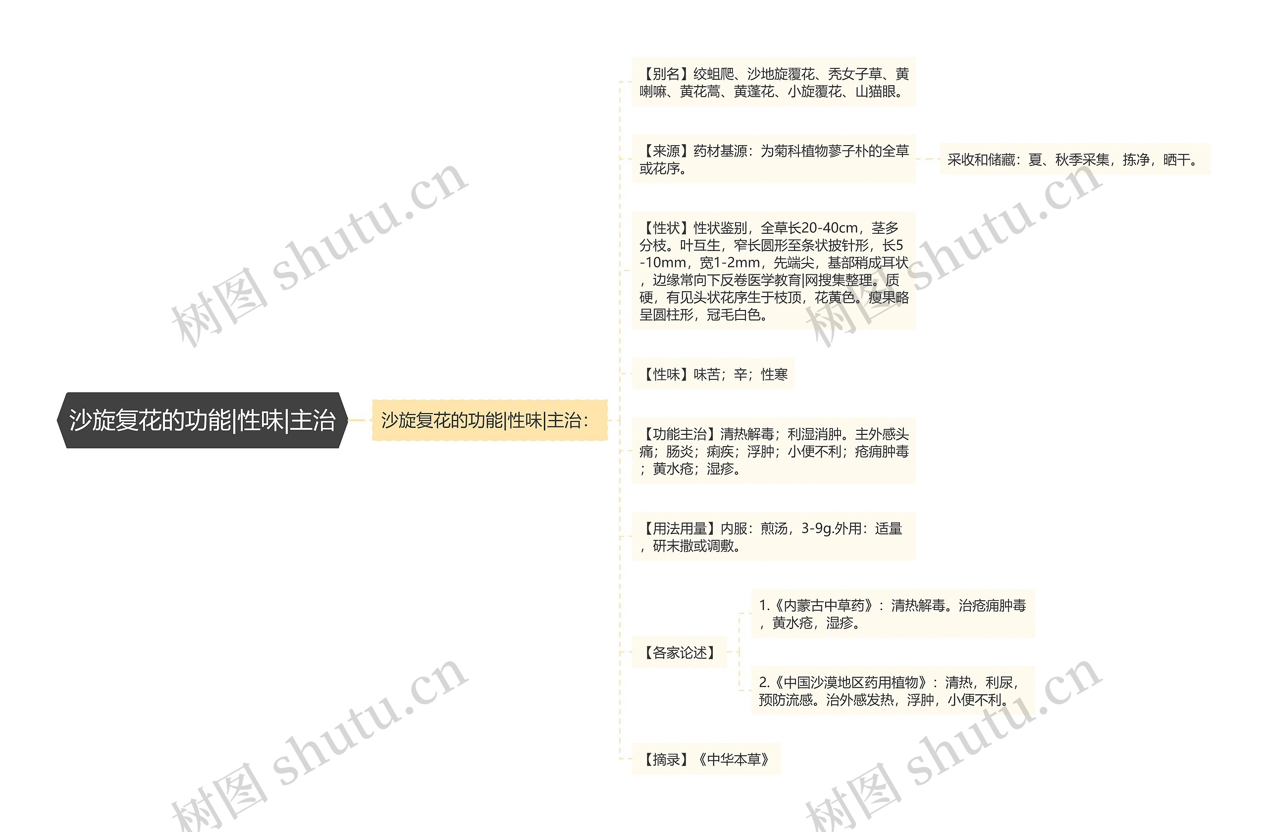 沙旋复花的功能|性味|主治思维导图