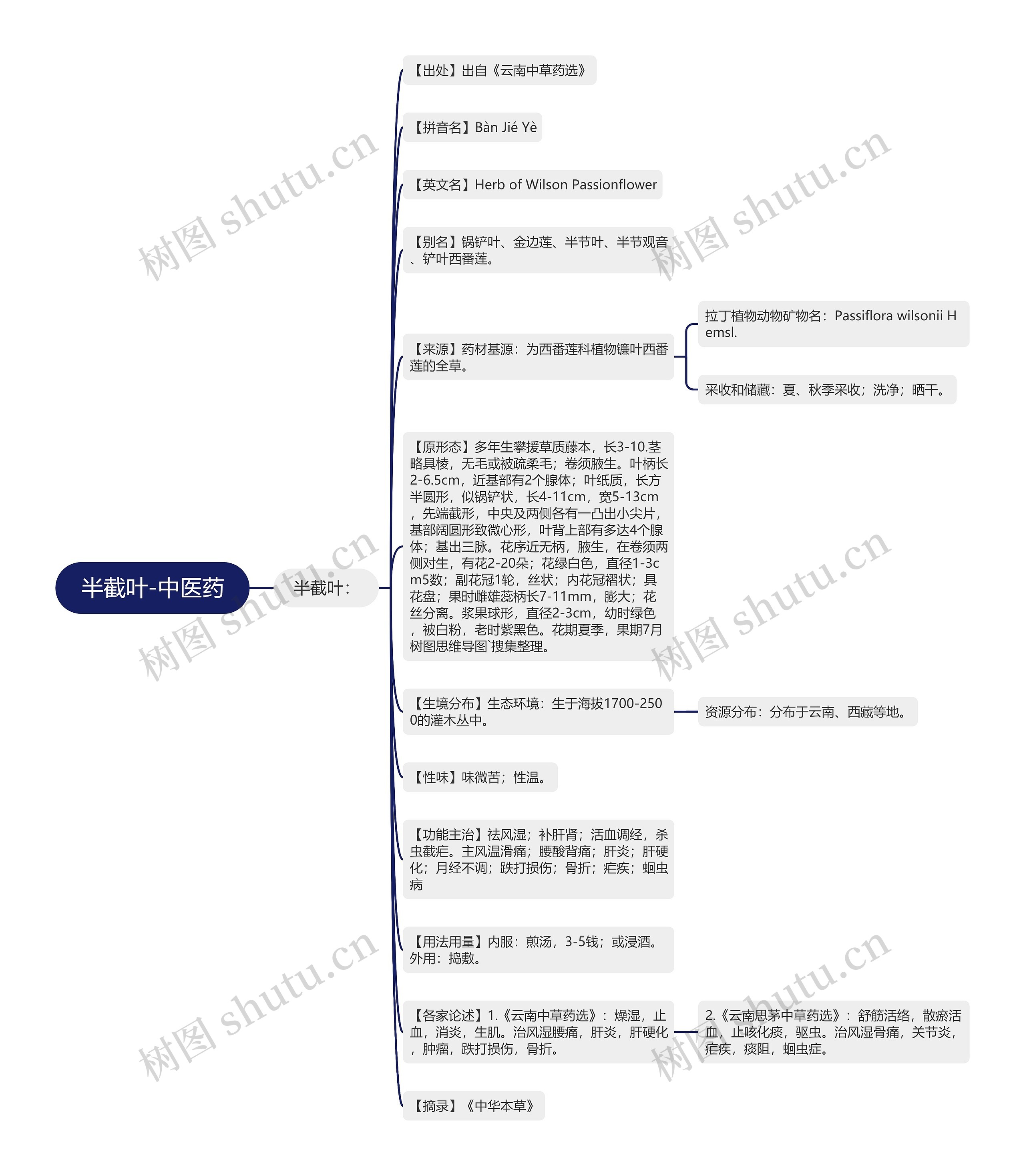 半截叶-中医药思维导图