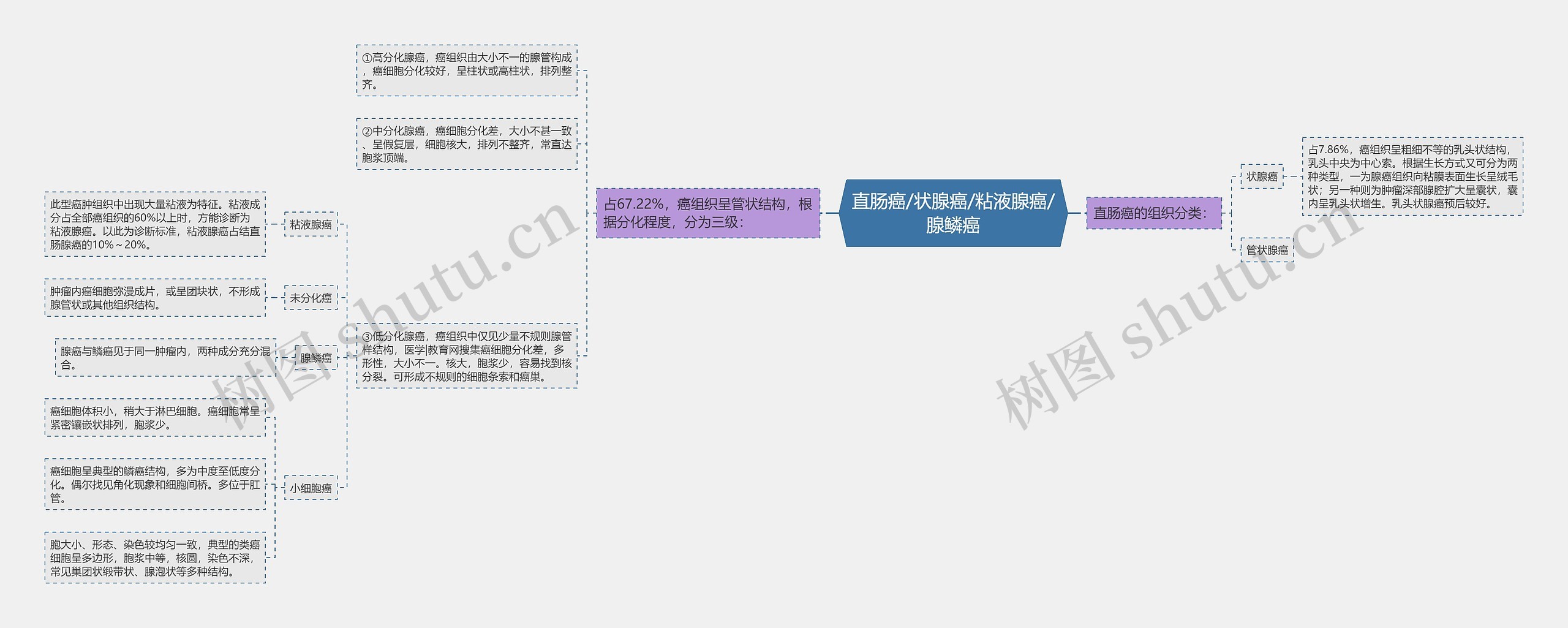 直肠癌/状腺癌/粘液腺癌/腺鳞癌