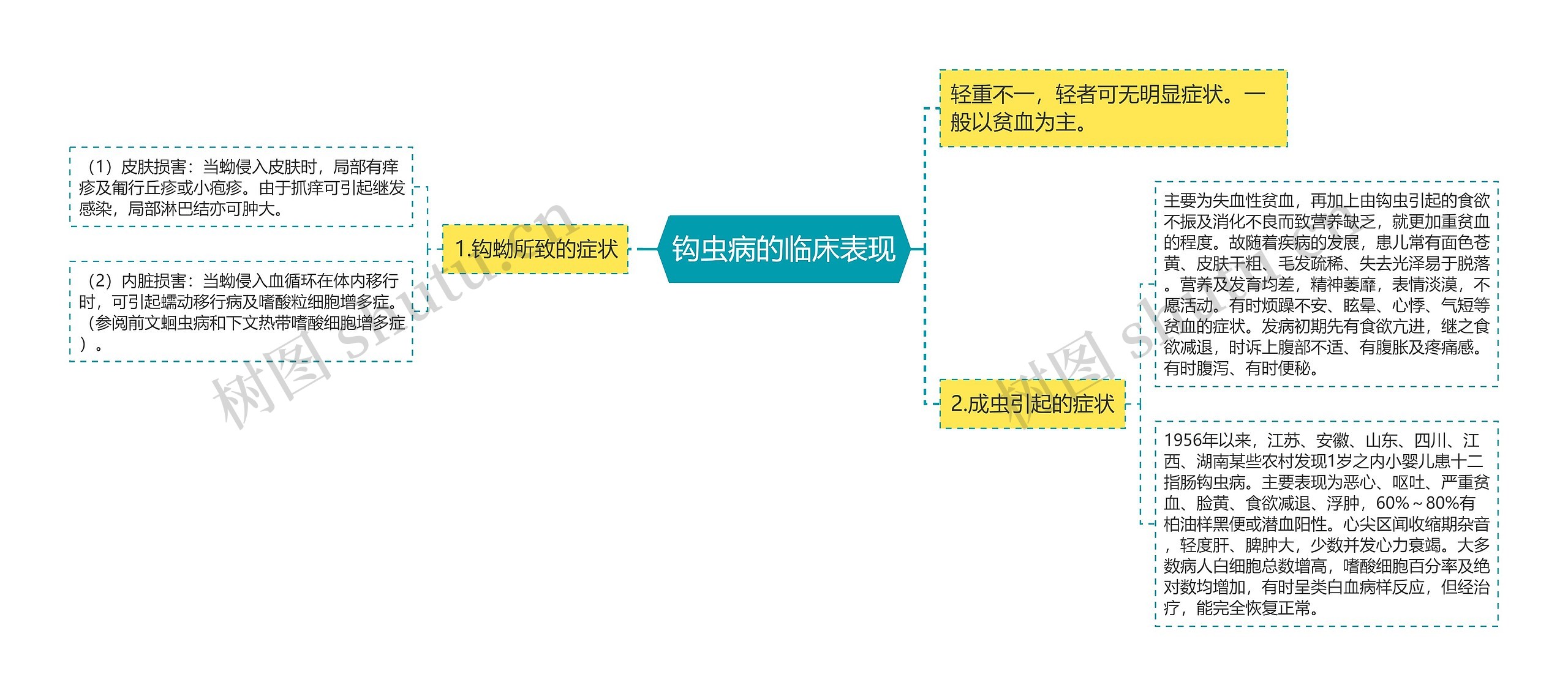 钩虫病的临床表现