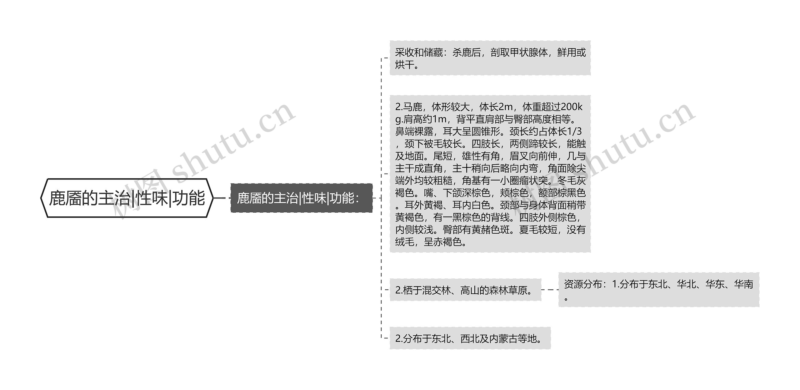 鹿靥的主治|性味|功能 鹿靥的主治|性味|功能