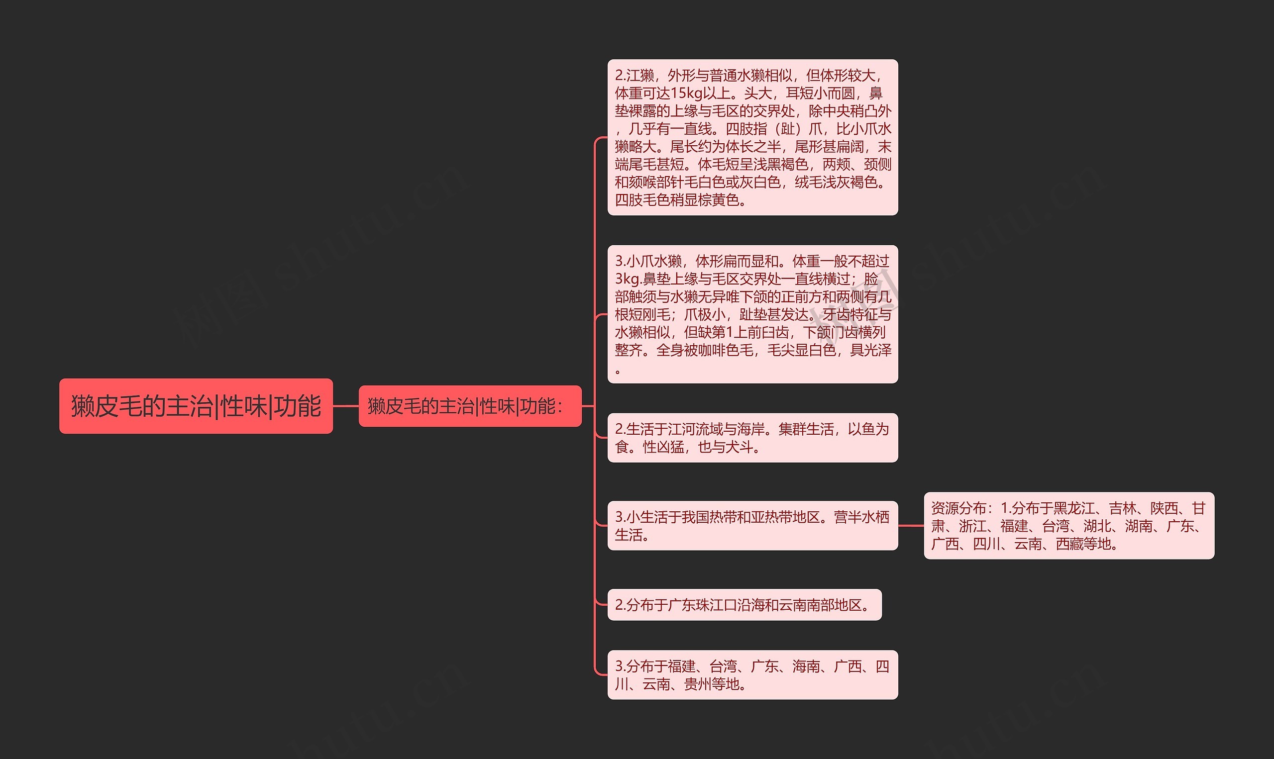 獭皮毛的主治|性味|功能