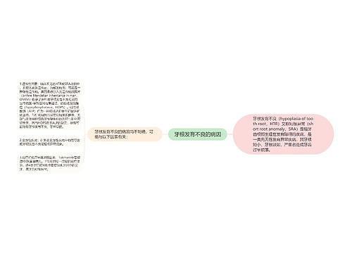 牙根发育不良的病因