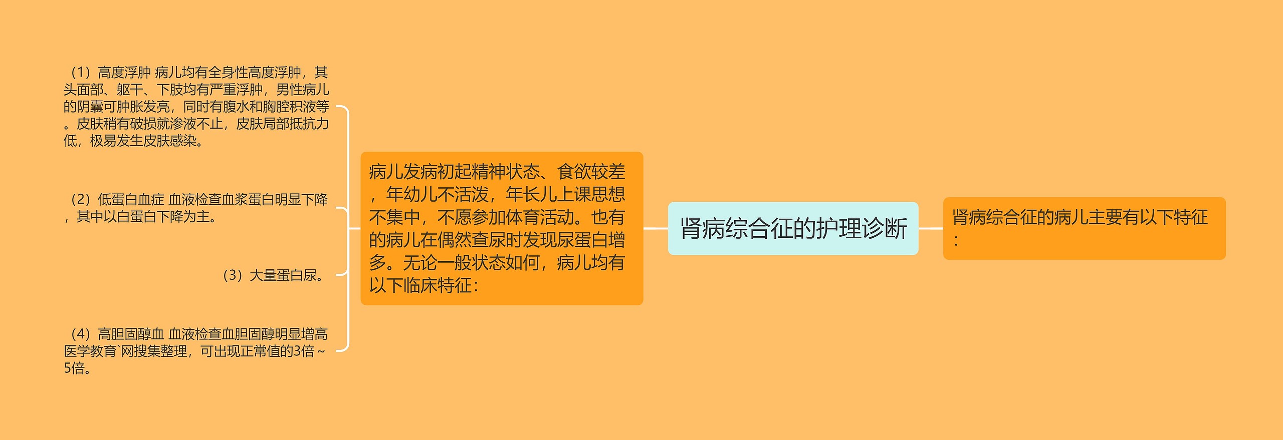 肾病综合征的护理诊断思维导图高清图 肾病综合征的护理诊断思维导图