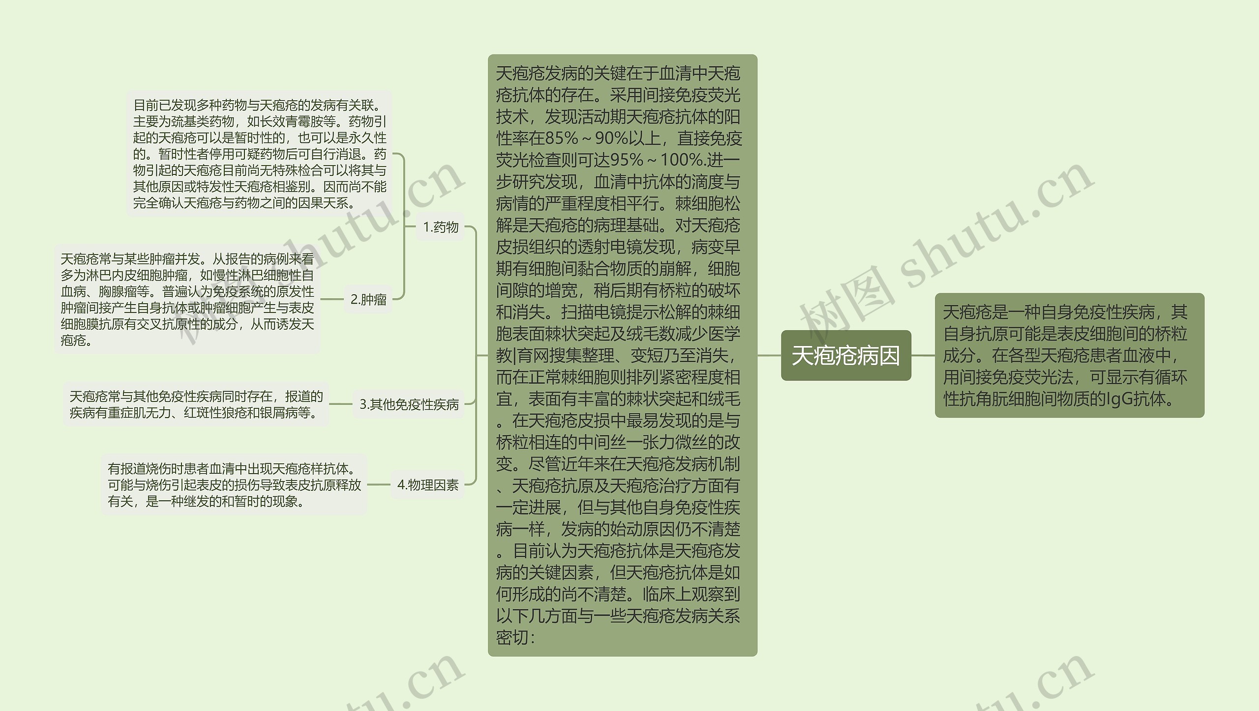 天疱疮病因思维导图