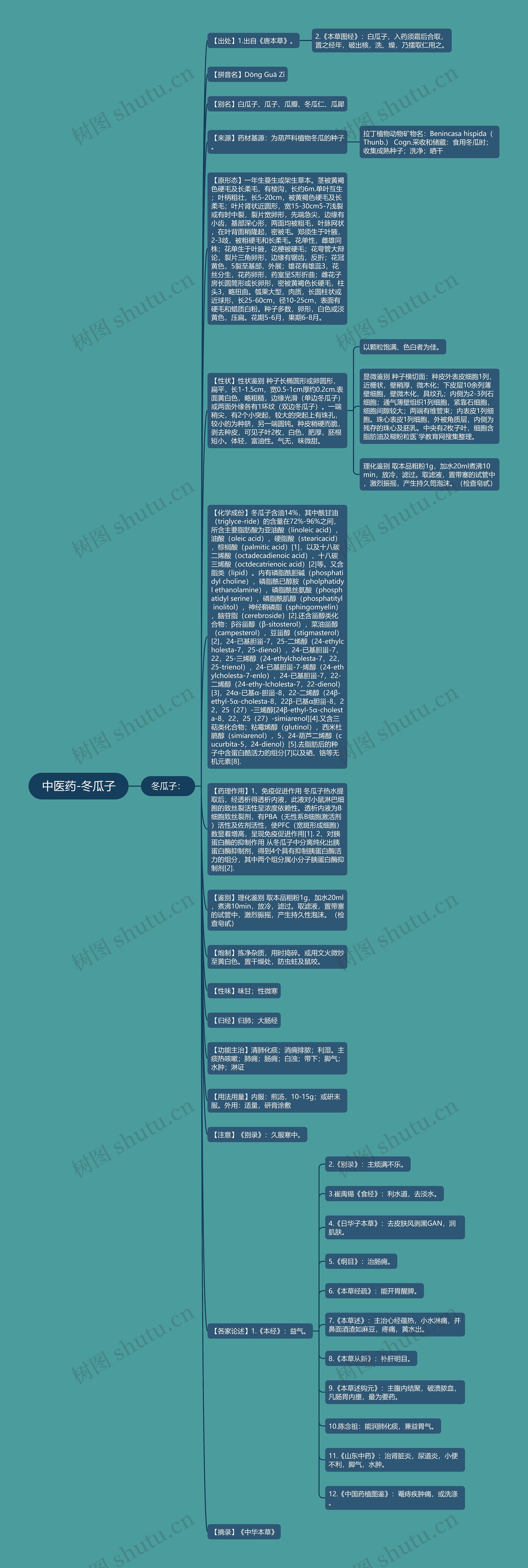 中医药-冬瓜子思维导图