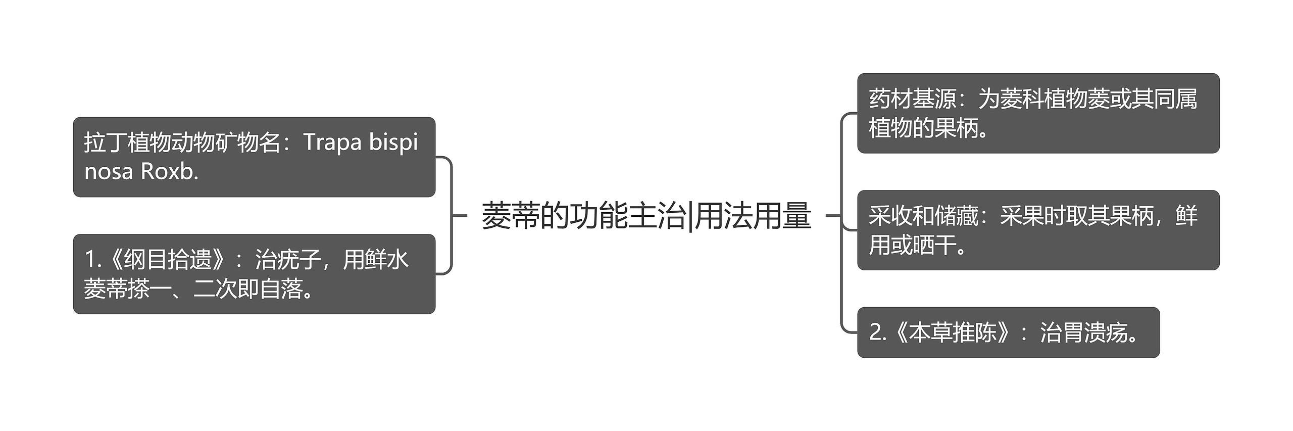 菱蒂的功能主治|用法用量