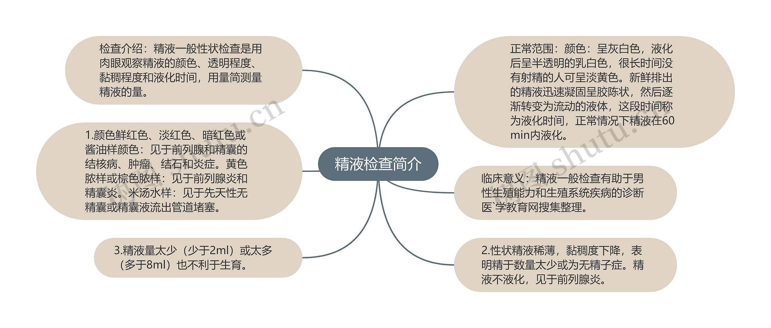 精液检查简介思维导图