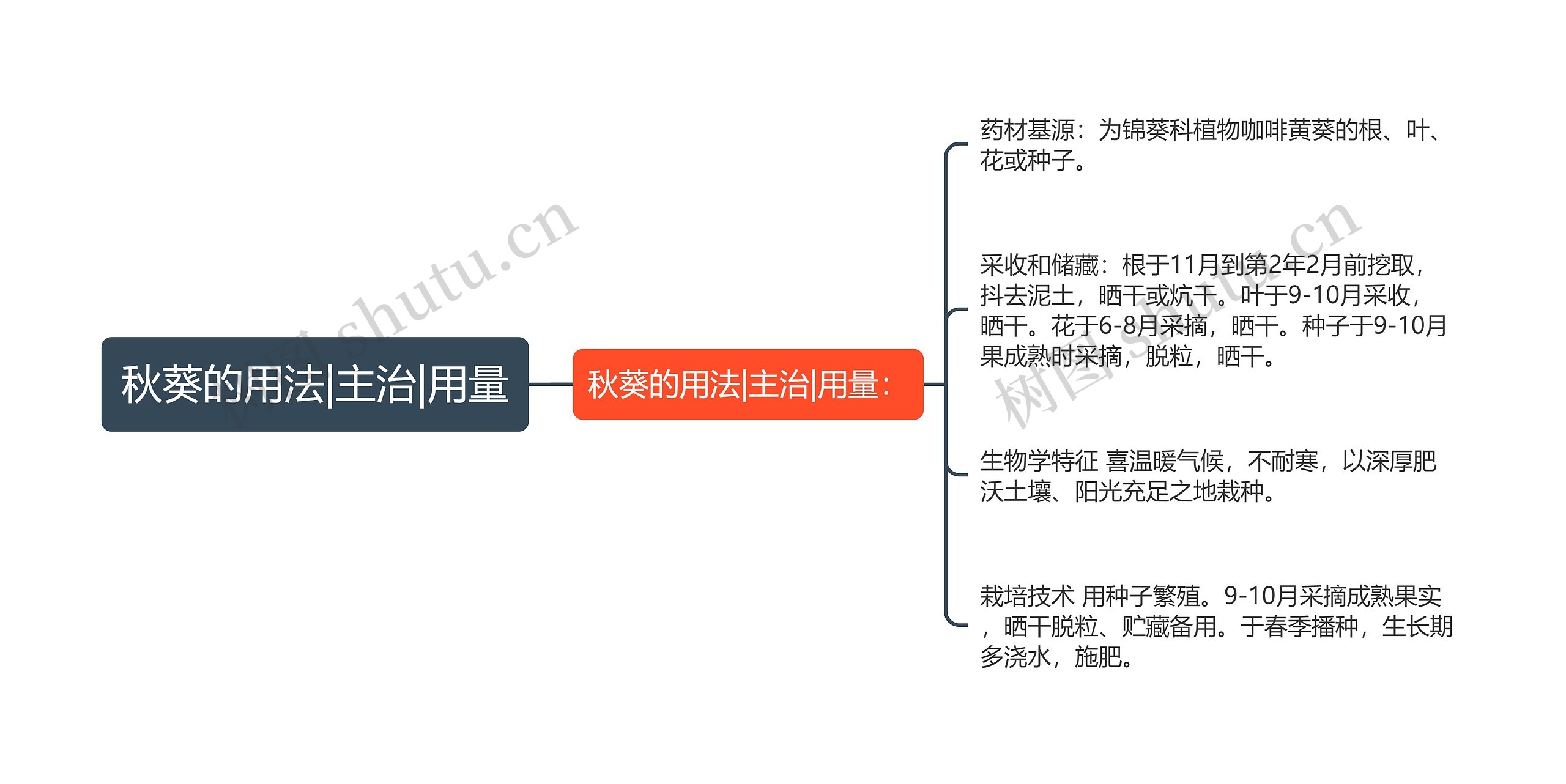 秋葵的用法|主治|用量