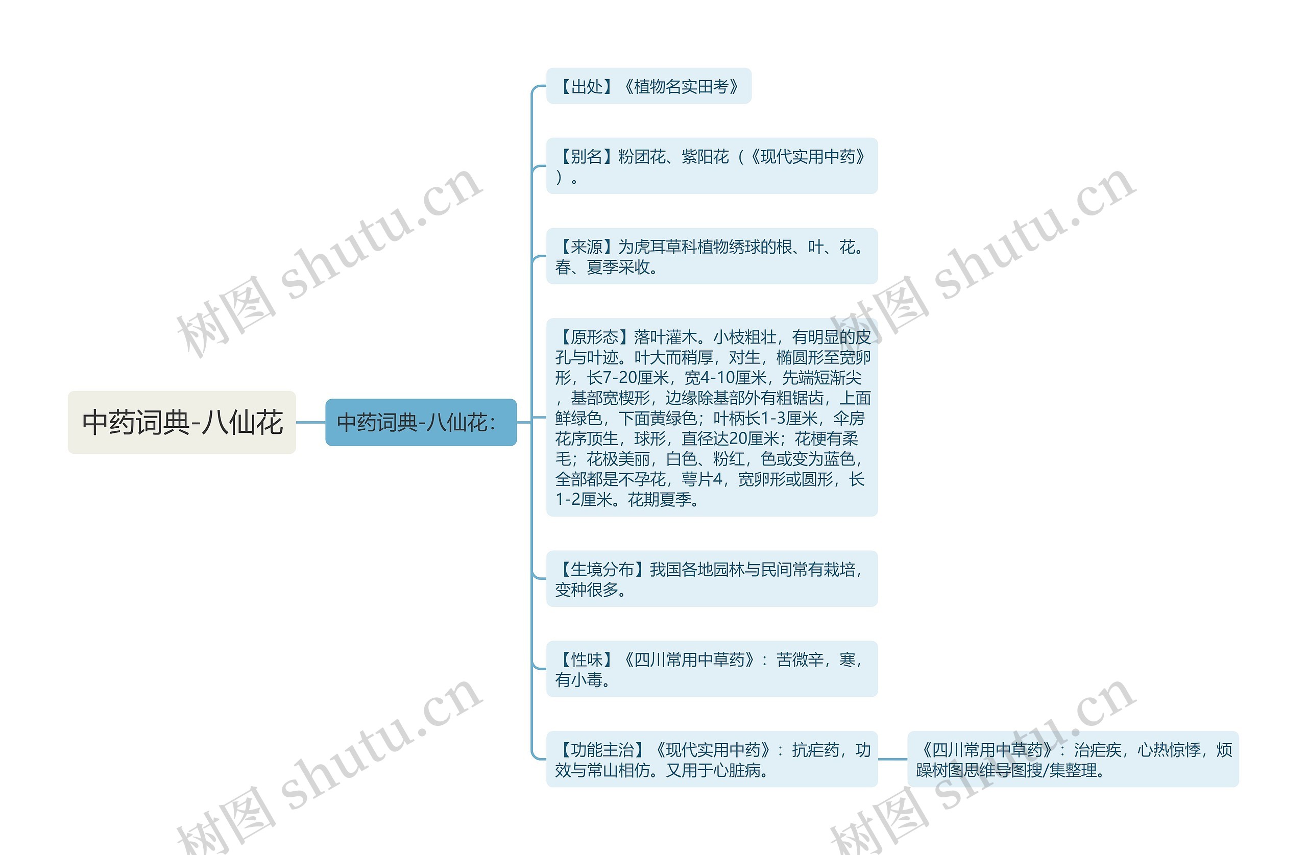 中药词典-八仙花思维导图