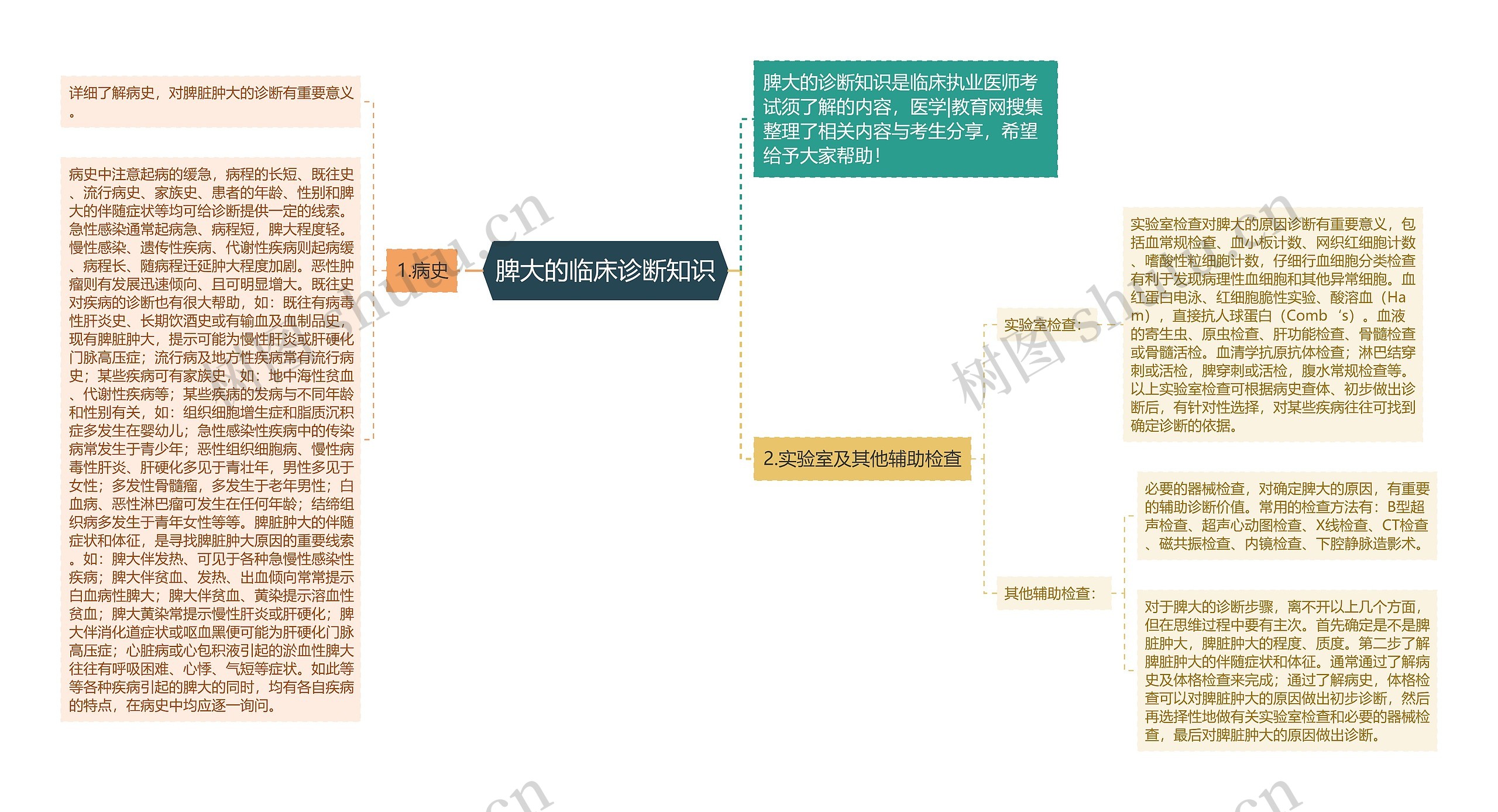 脾大的临床诊断知识