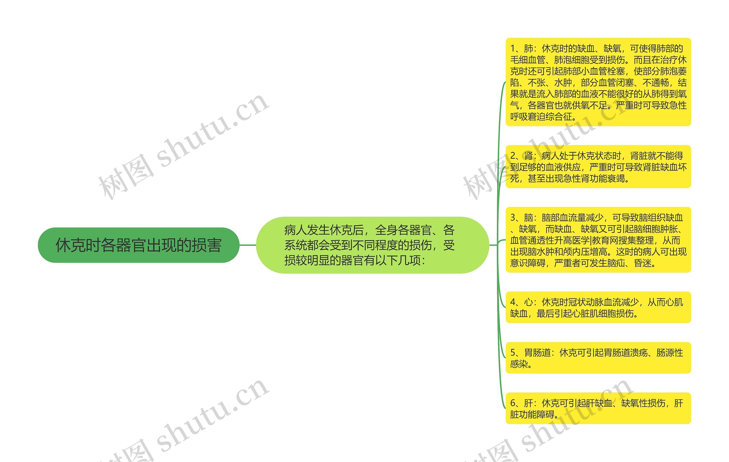 休克时各器官出现的损害