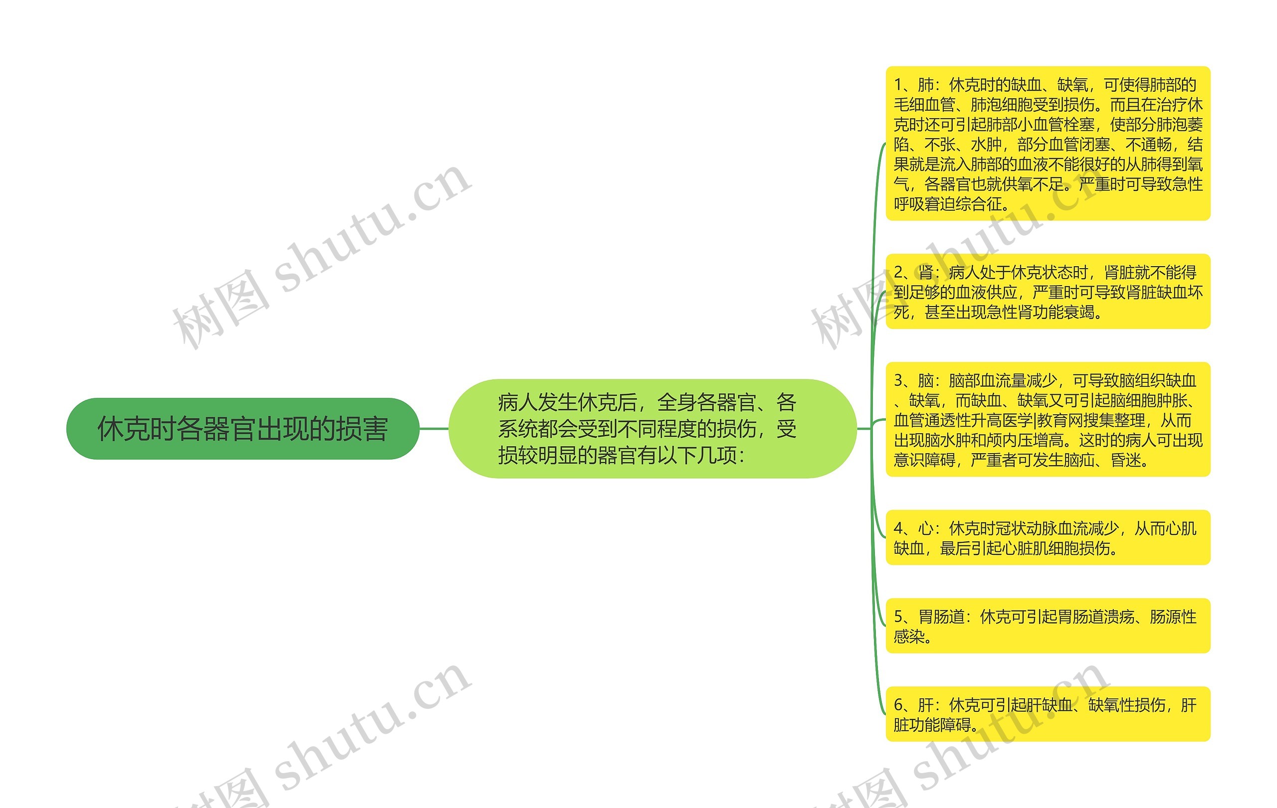 休克时各器官出现的损害思维导图