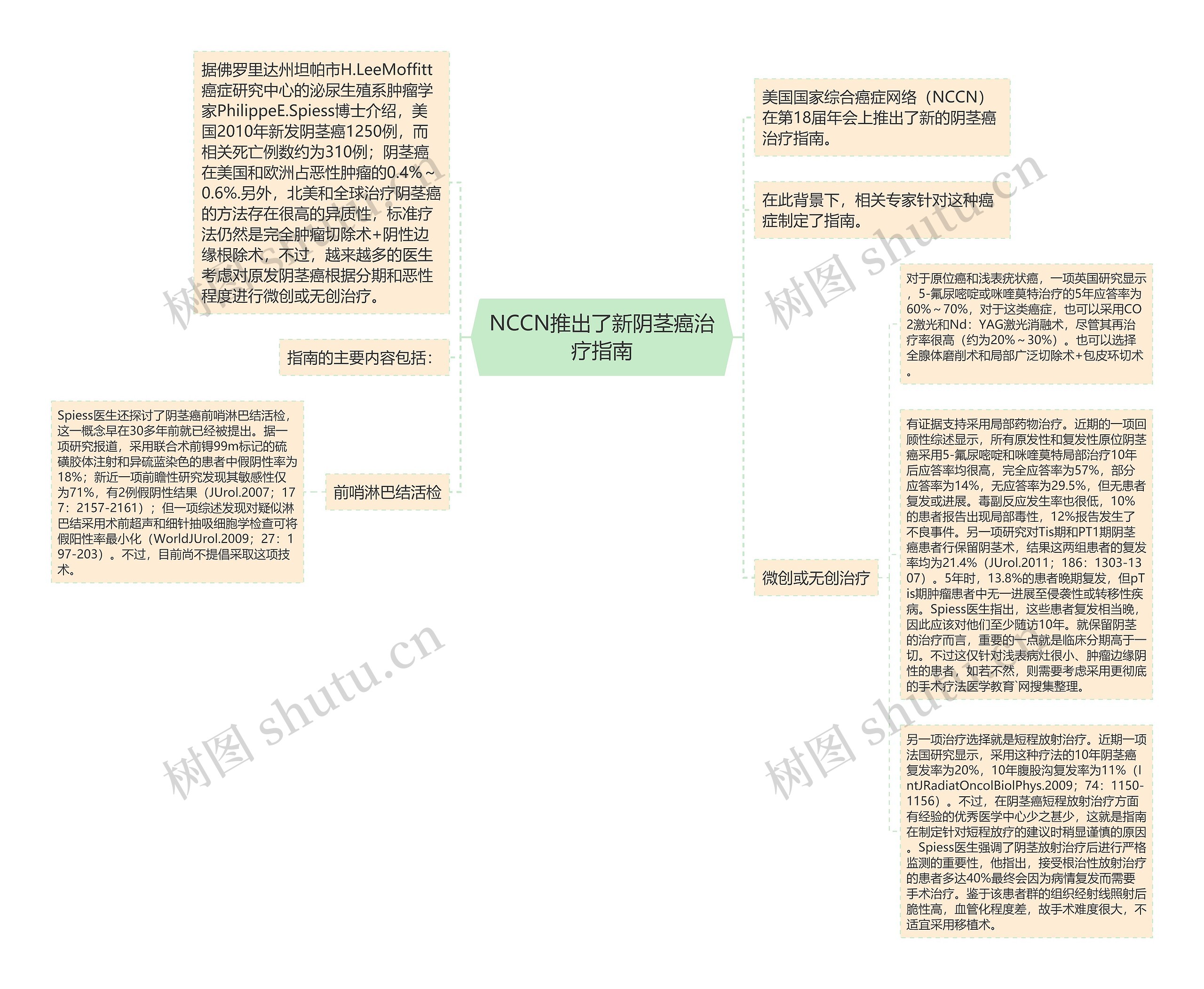 NCCN推出了新阴茎癌治疗指南思维导图