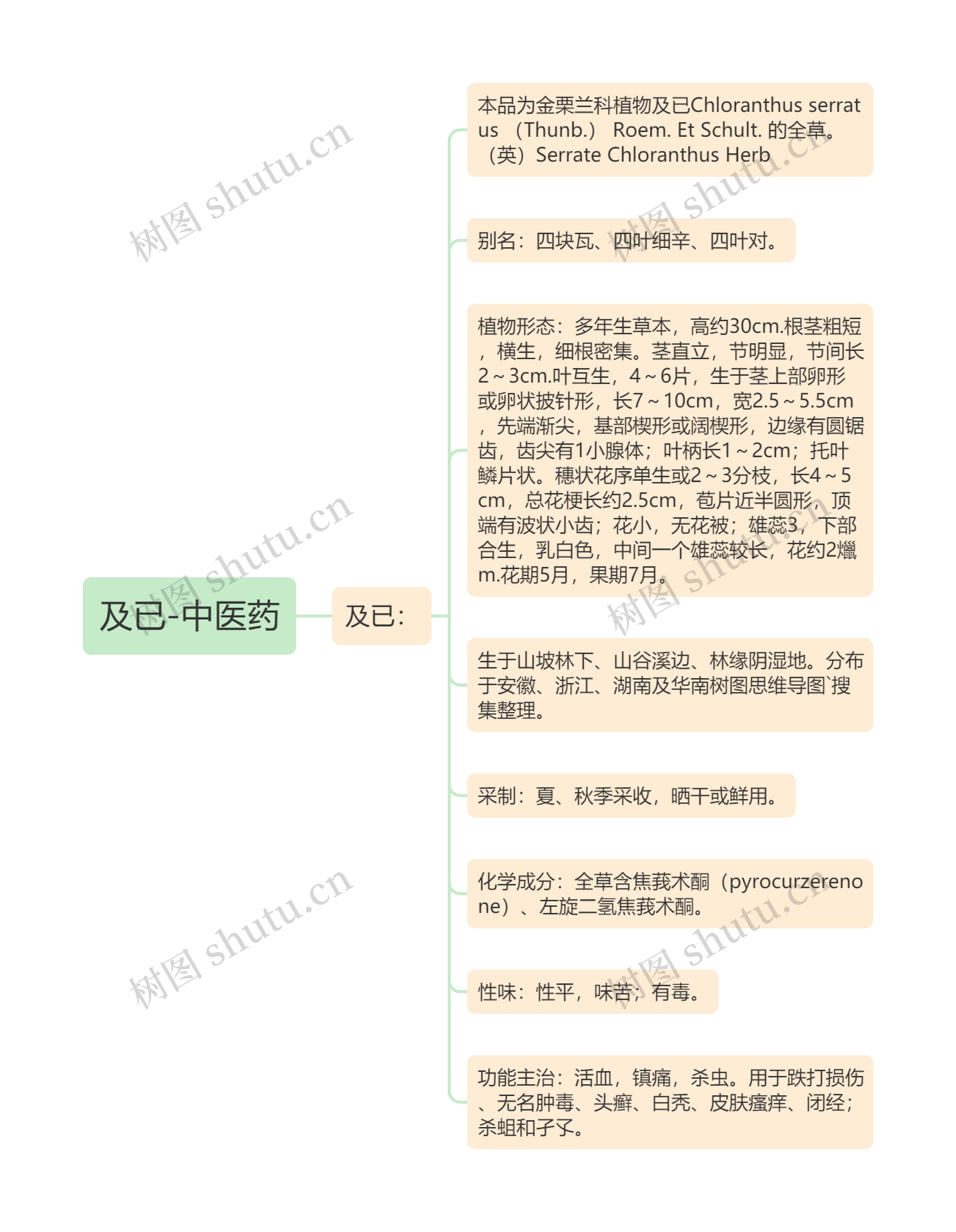 及已-中医药 及已-中医药