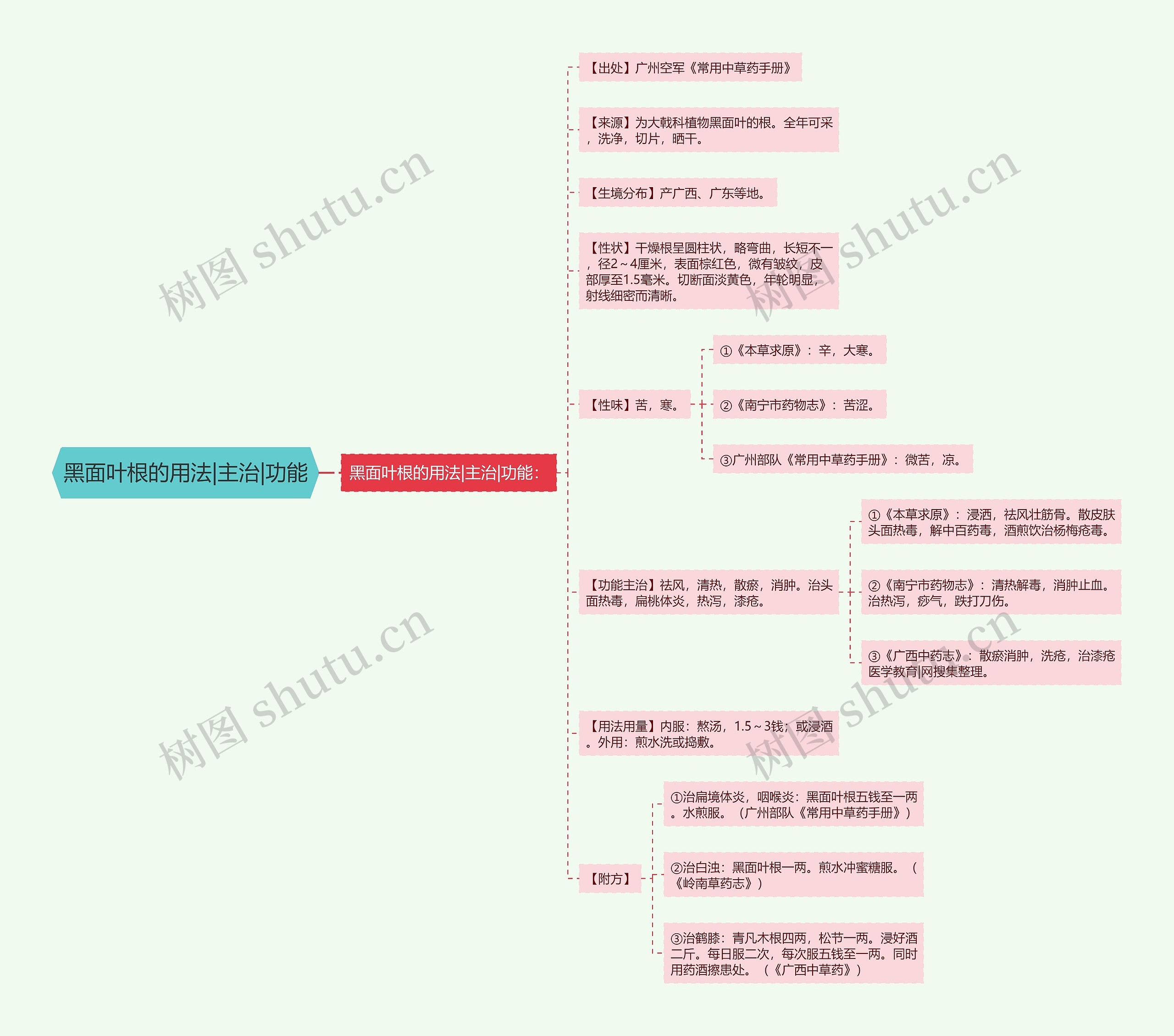 黑面叶根的用法|主治|功能 黑面叶根的用法|主治|功能
