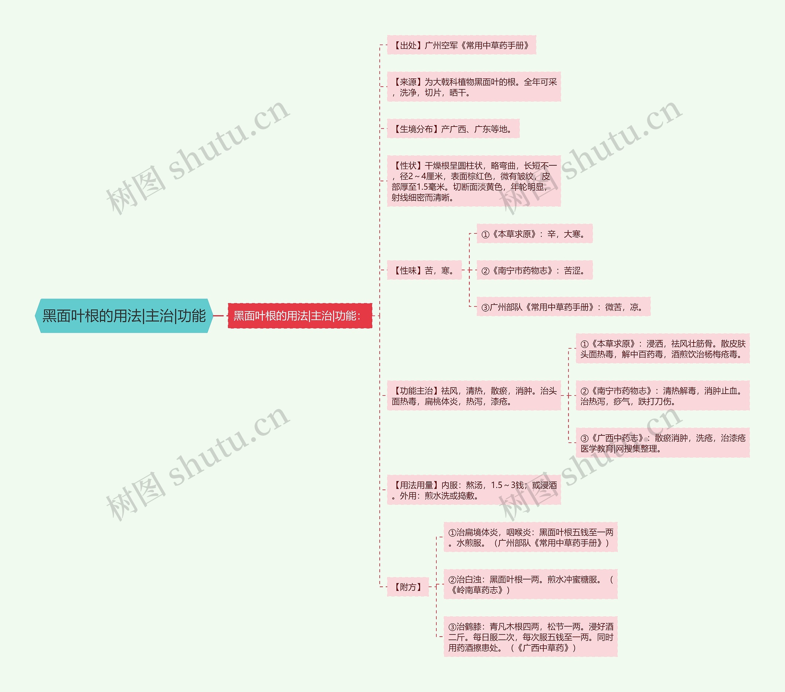 黑面叶根的用法|主治|功能思维导图
