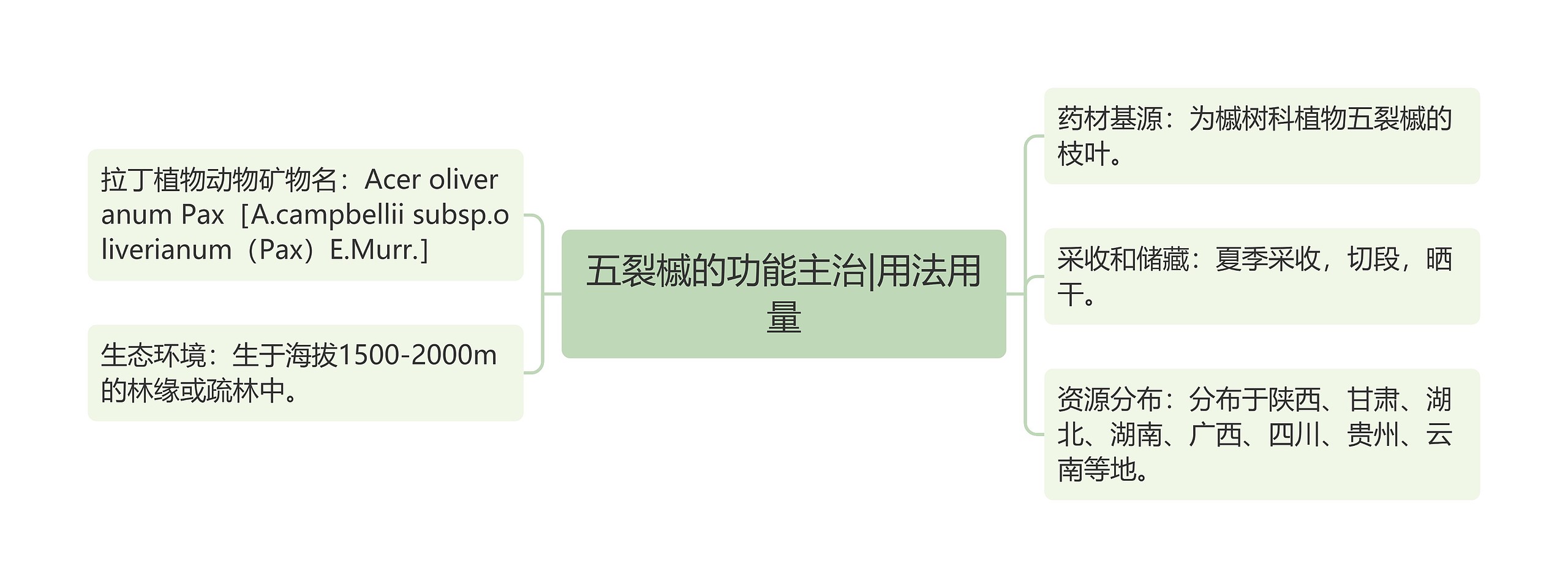 五裂槭的功能主治|用法用量