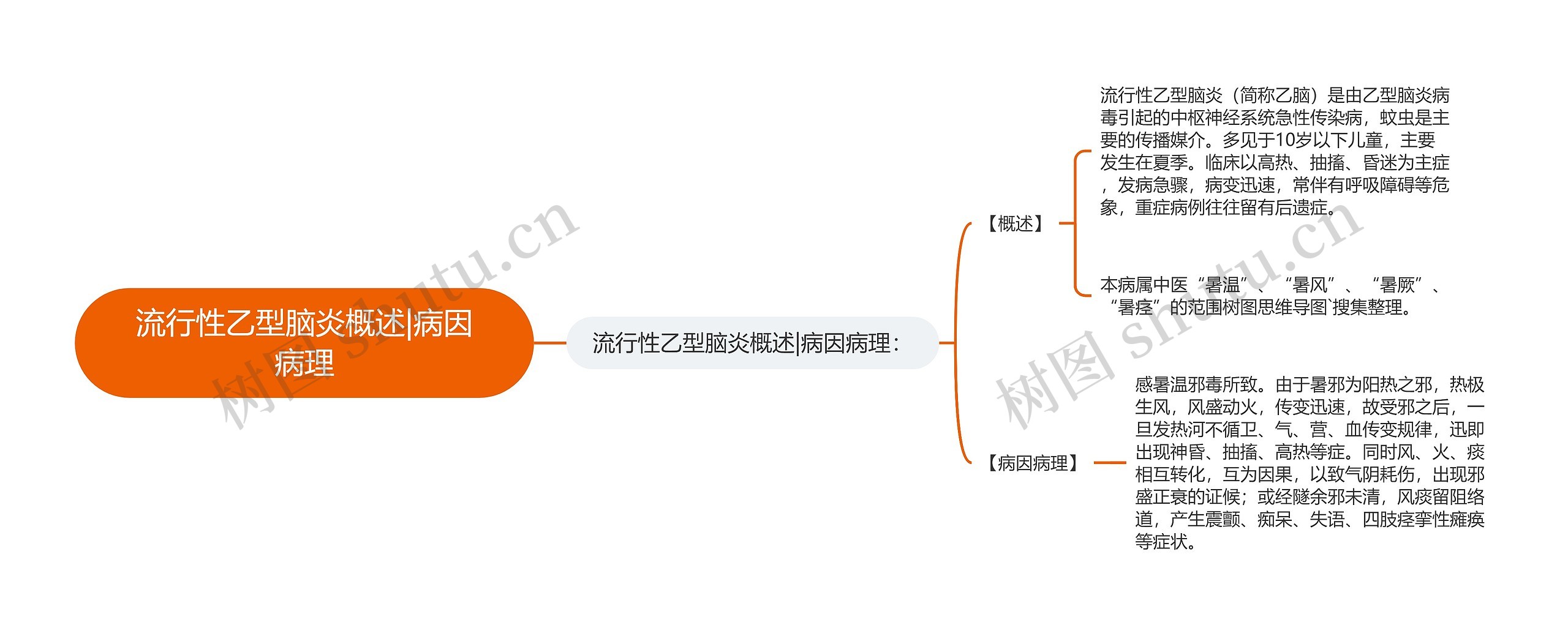 流行性乙型脑炎概述|病因病理思维导图