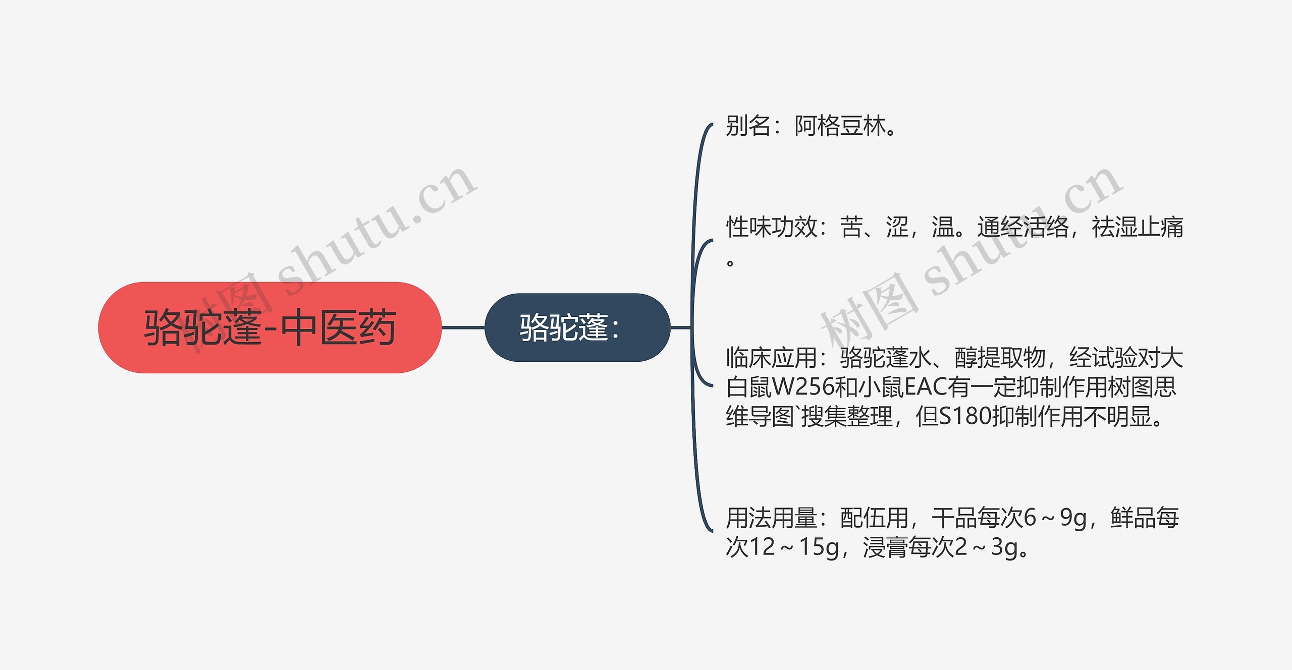 骆驼蓬-中医药思维导图