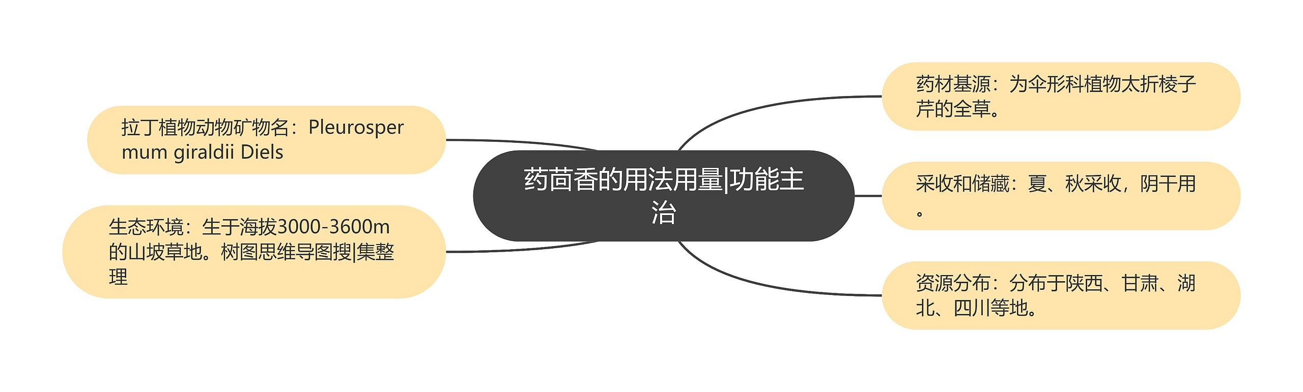 药茴香的用法用量|功能主治 药茴香的用法用量|功能主治