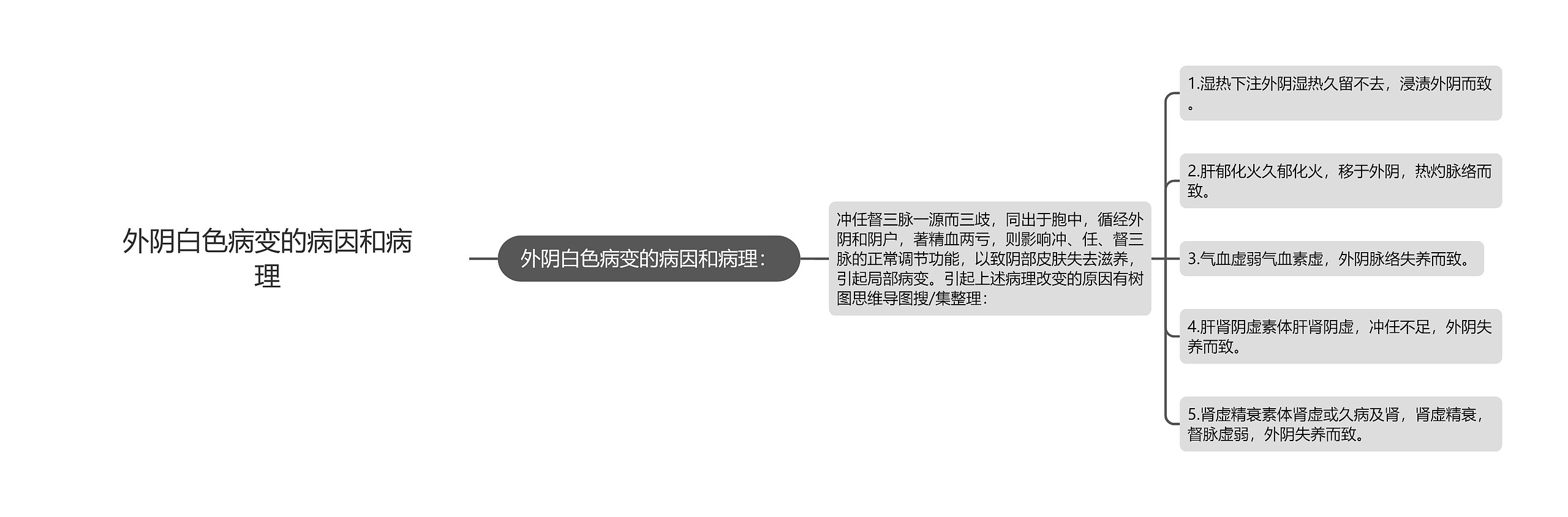 外阴白色病变的病因和病理思维导图