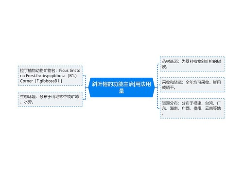 斜叶榕的功能主治|用法用量