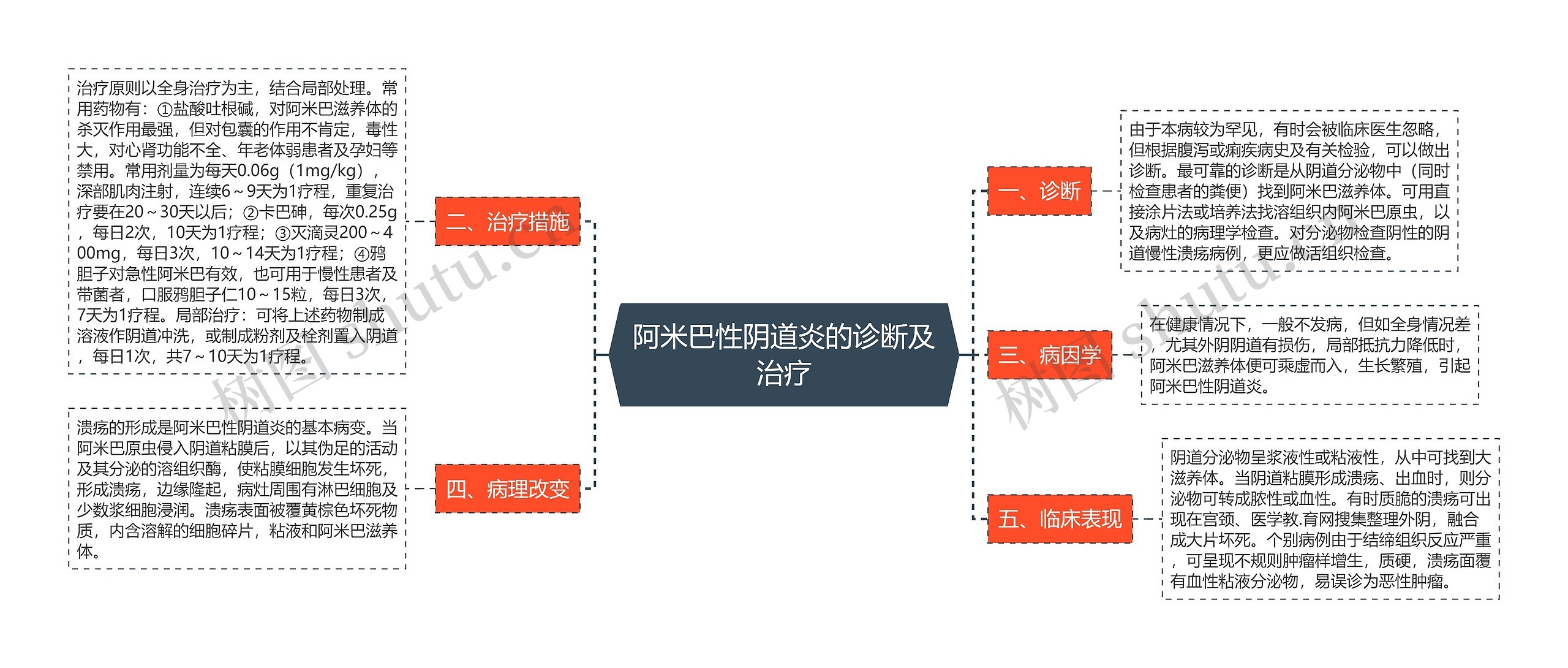 阿米巴性阴道炎的诊断及治疗思维导图