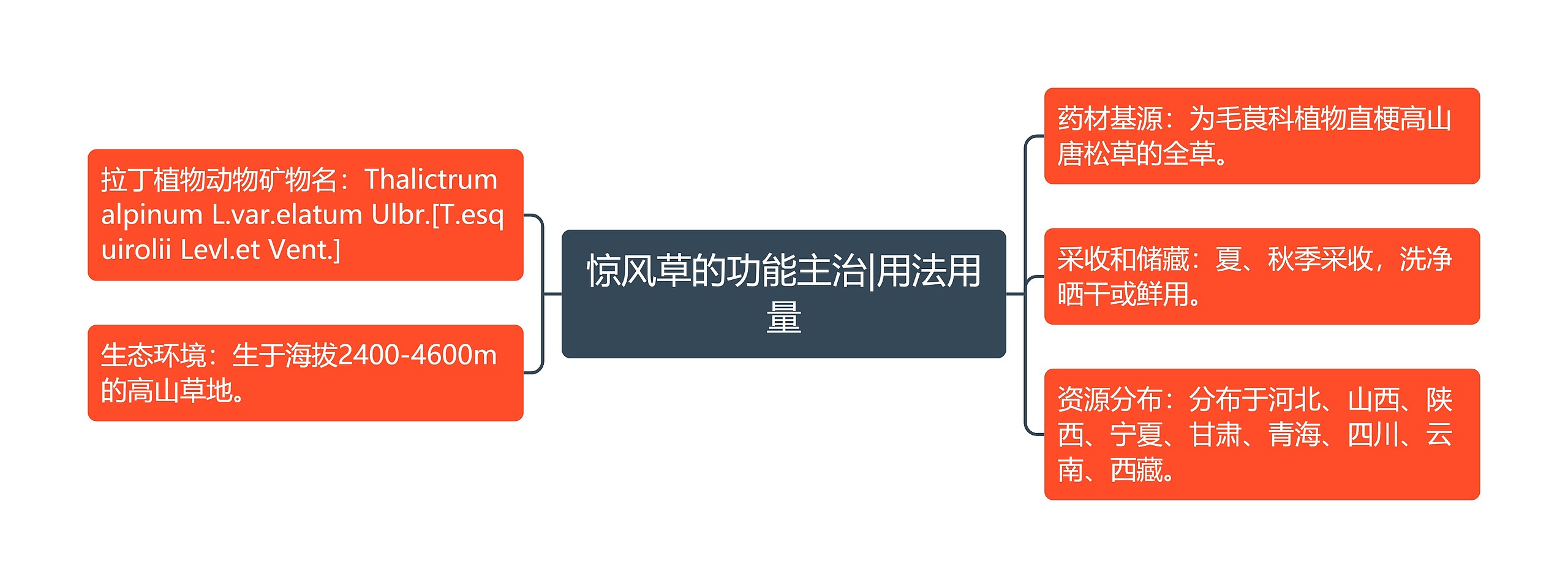 惊风草的功能主治|用法用量思维导图