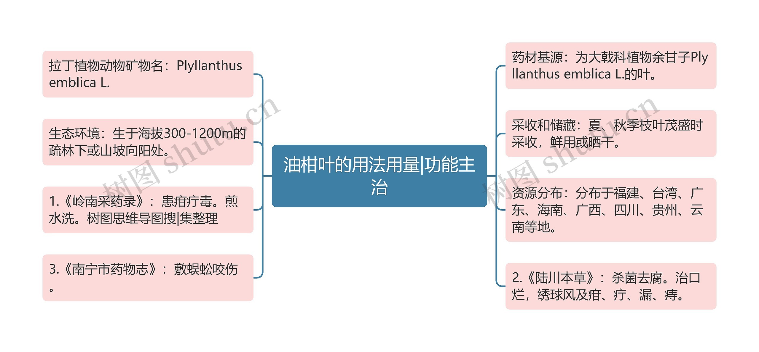 油柑叶的用法用量|功能主治思维导图