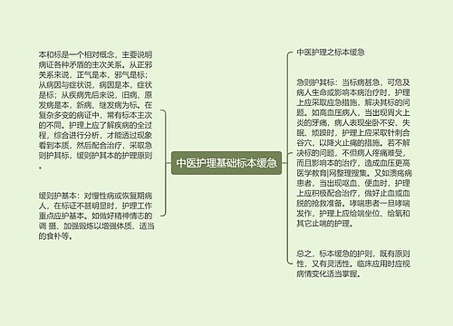 中医护理基础标本缓急