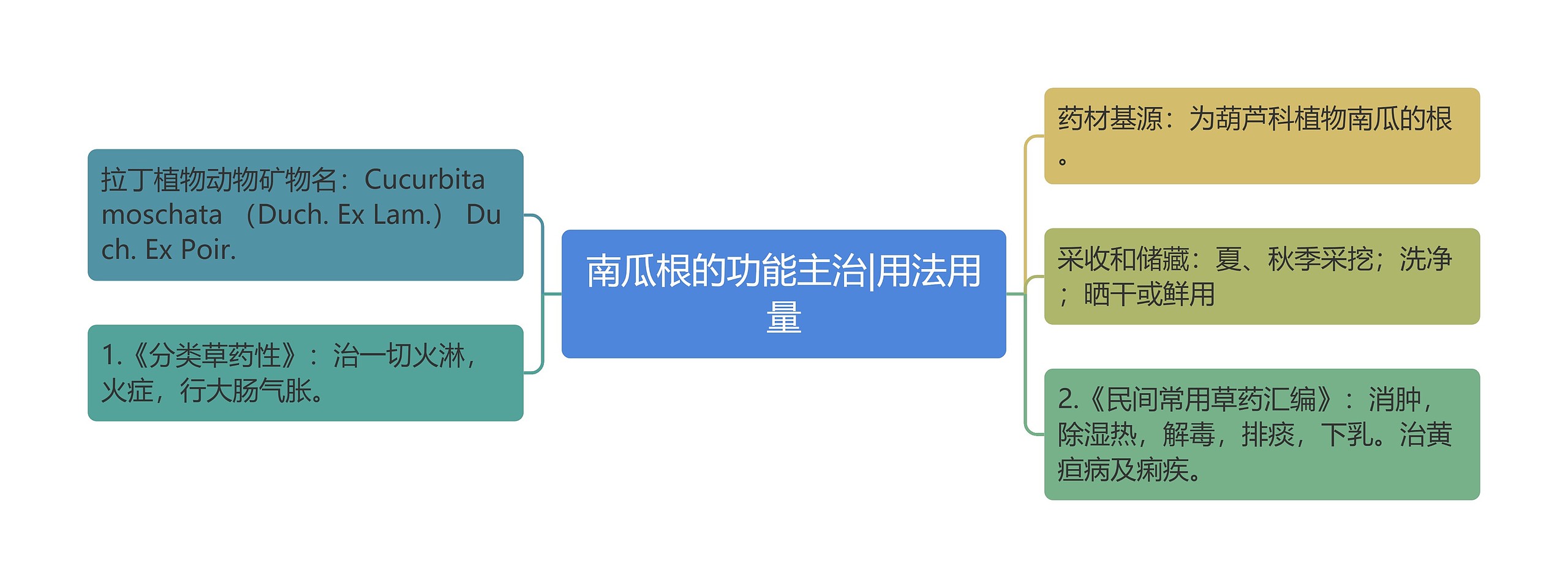 南瓜根的功能主治|用法用量