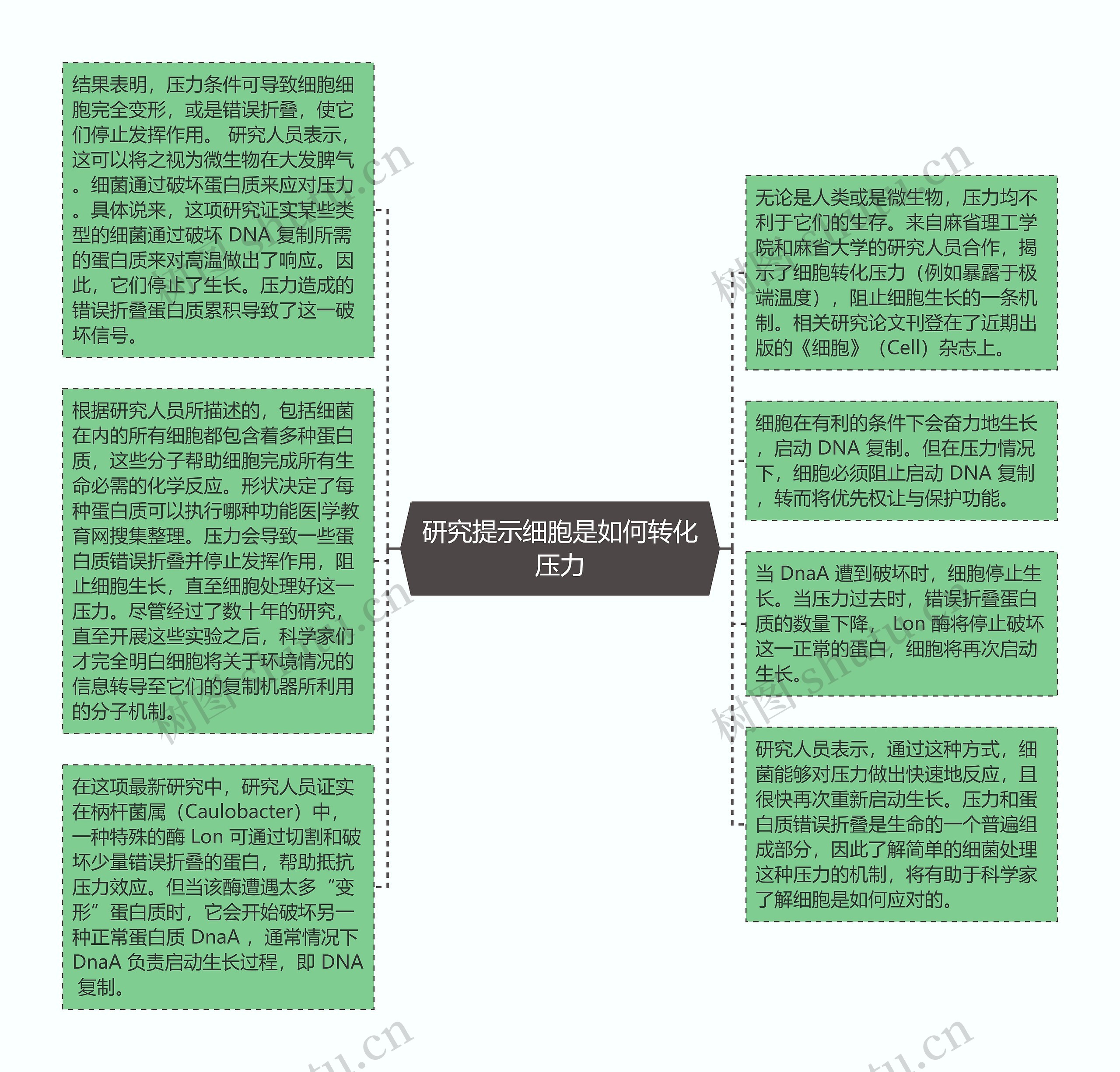 研究提示细胞是如何转化压力