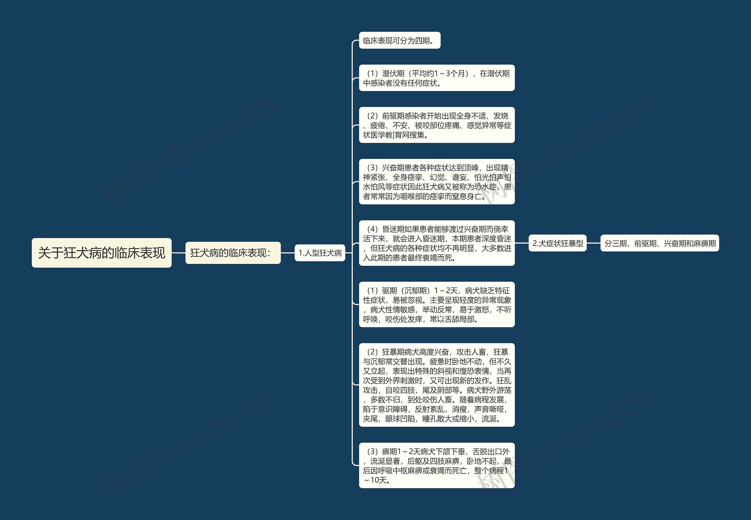 关于狂犬病的临床表现思维导图