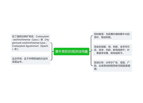 黄牛茶的功效|用法用量