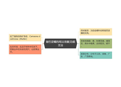 皱巴坚螺的用法用量|功能主治