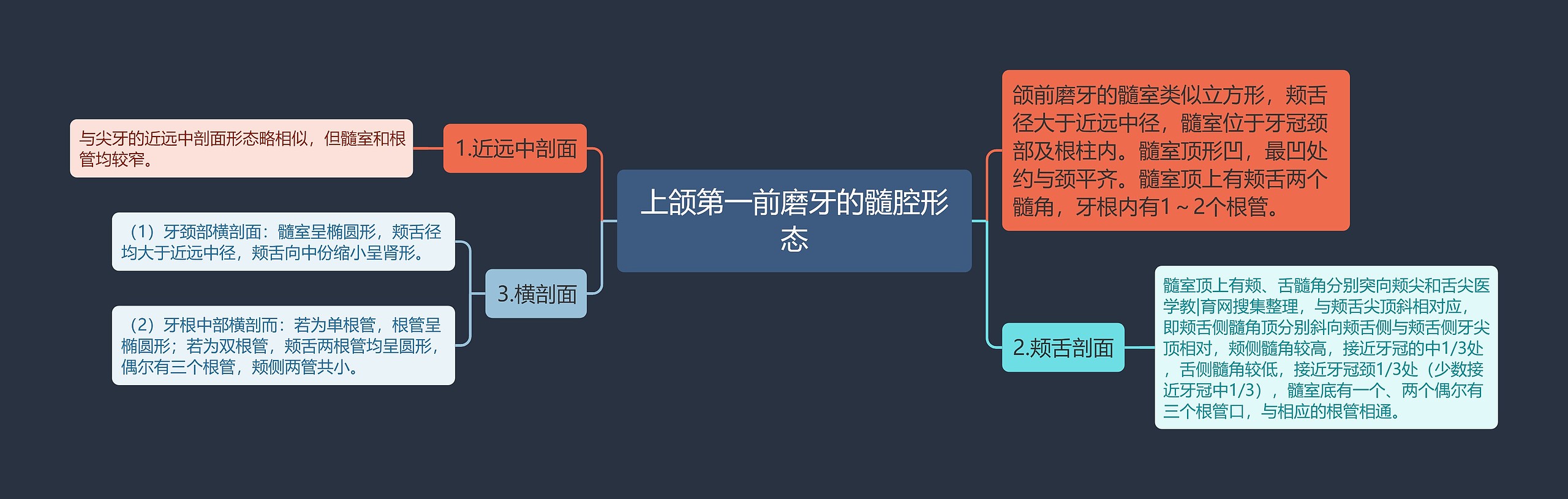 上颌第一前磨牙的髓腔形态 上颌第一前磨牙的髓腔形态