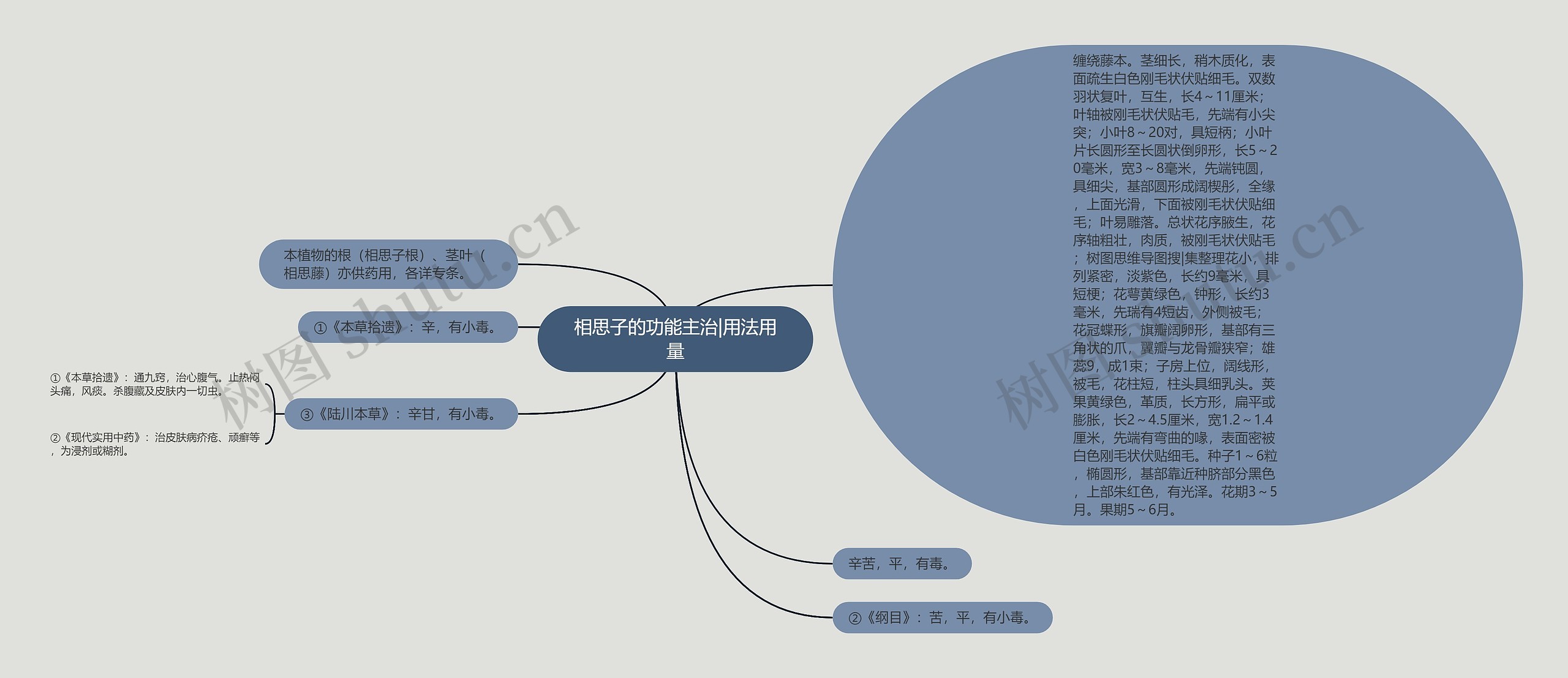 相思子的功能主治|用法用量思维导图