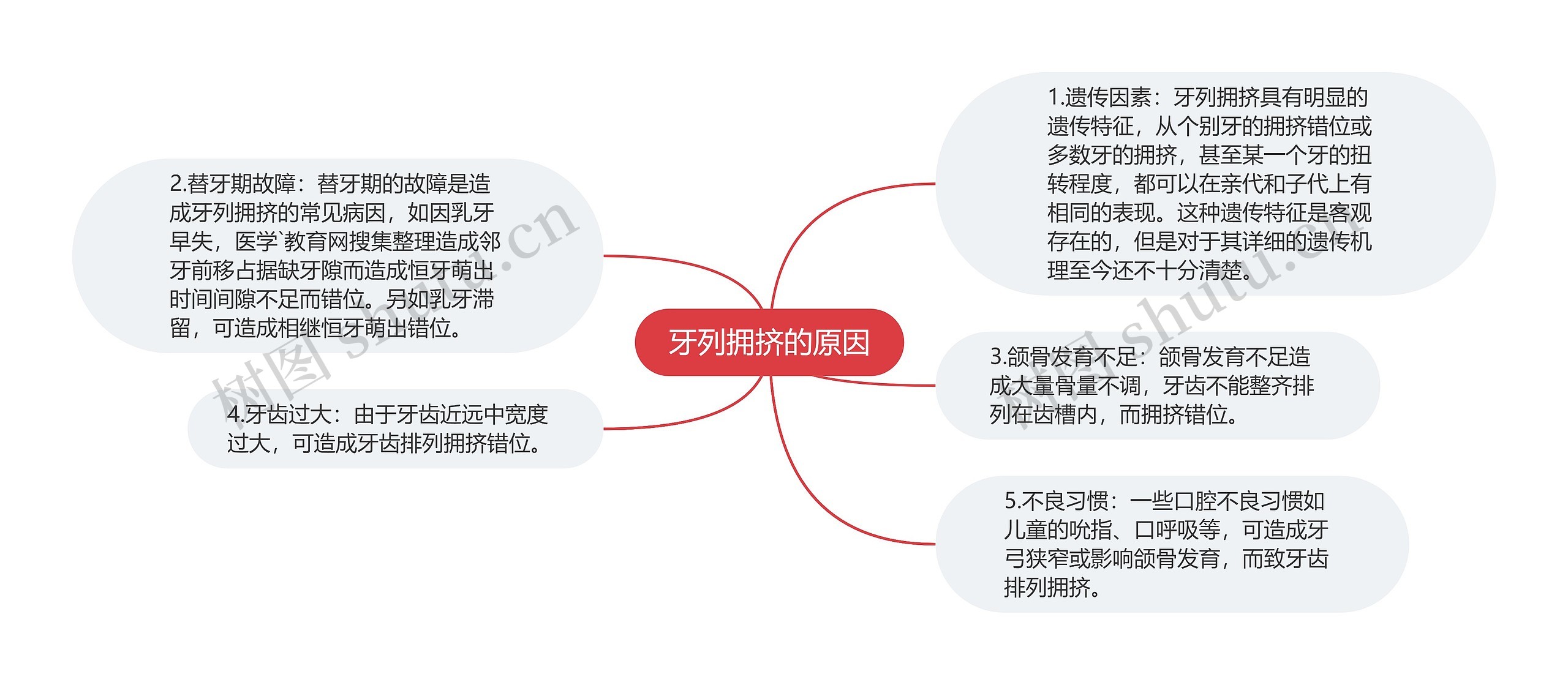 牙列拥挤的原因思维导图