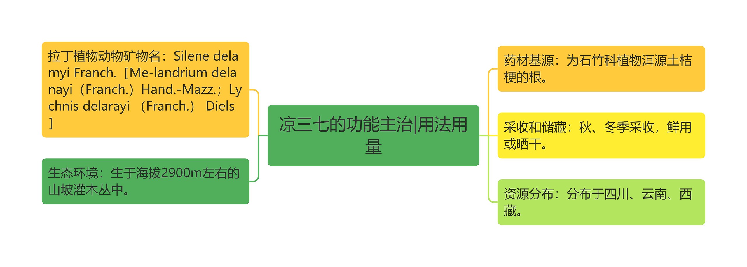 凉三七的功能主治|用法用量思维导图