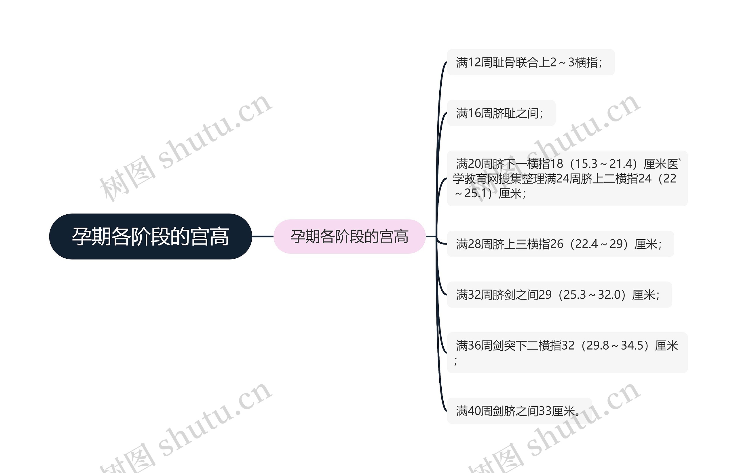 孕期各阶段的宫高思维导图