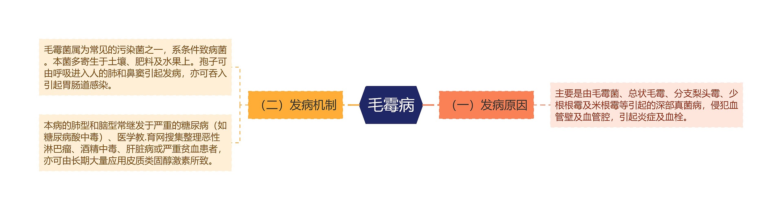毛霉病思维导图高清图 毛霉病思维导图