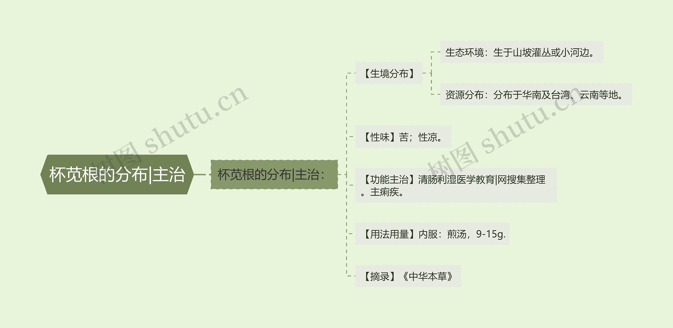 杯苋根的分布|主治思维导图