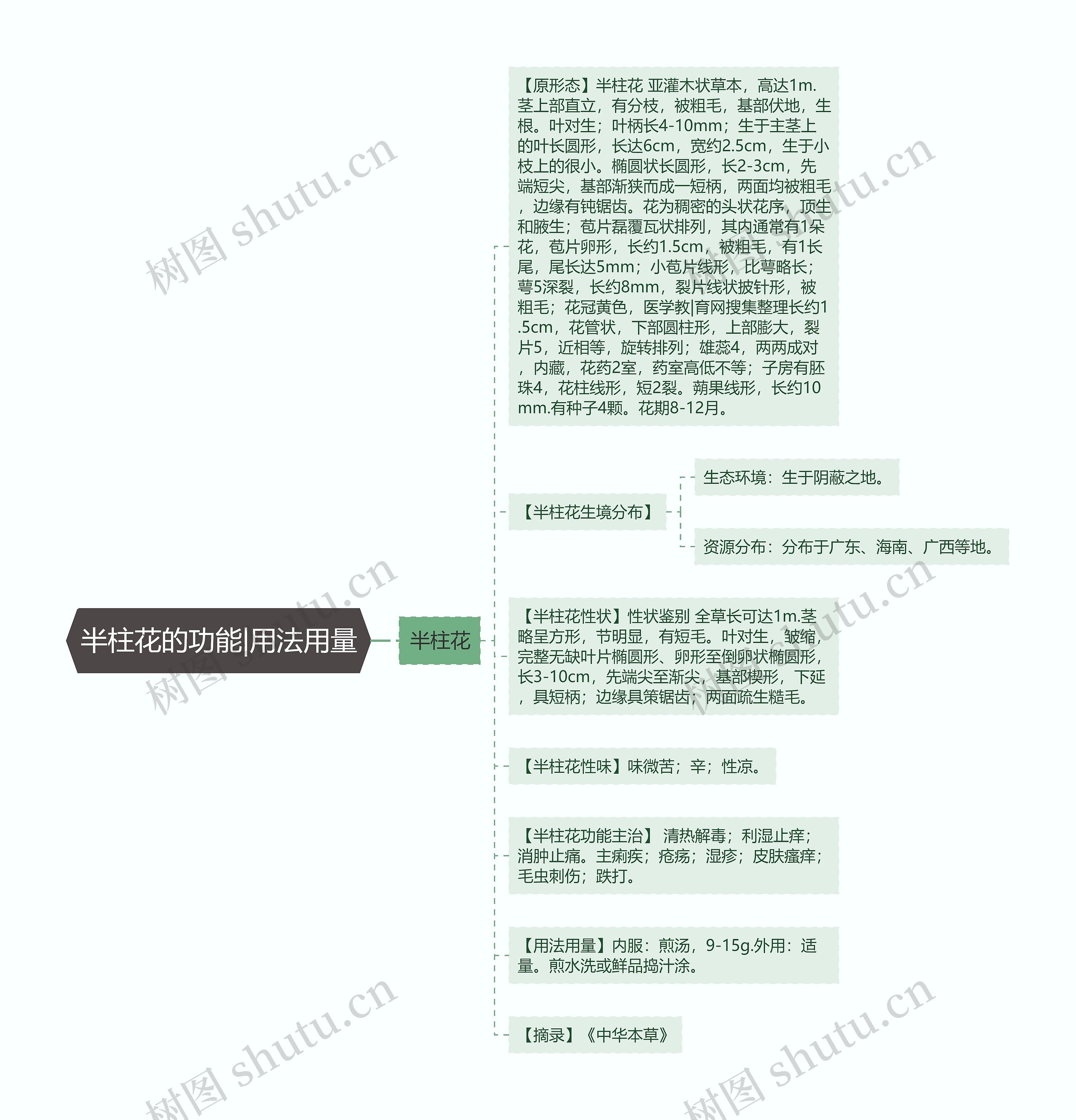 半柱花的功能|用法用量思维导图